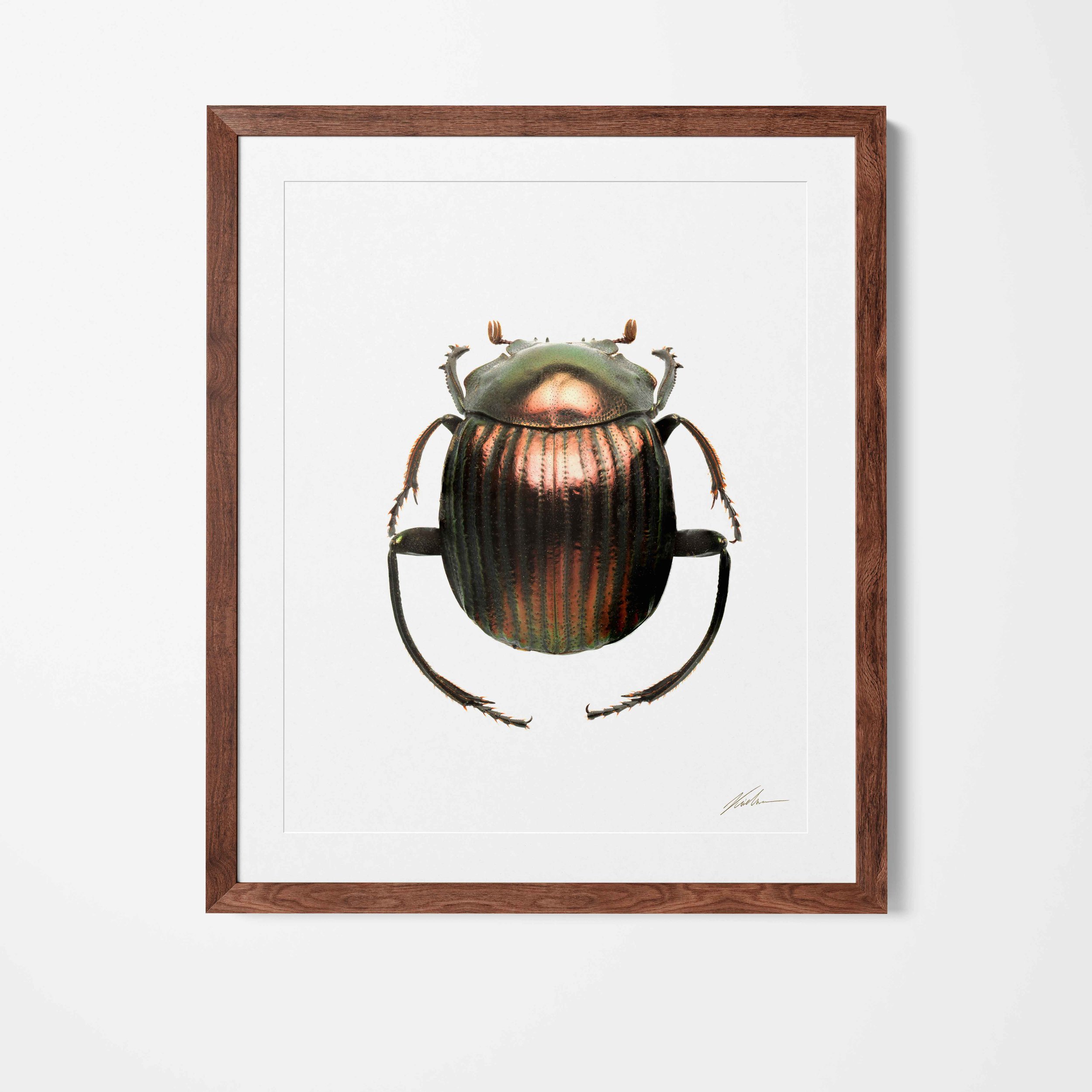 framed_20.jpg