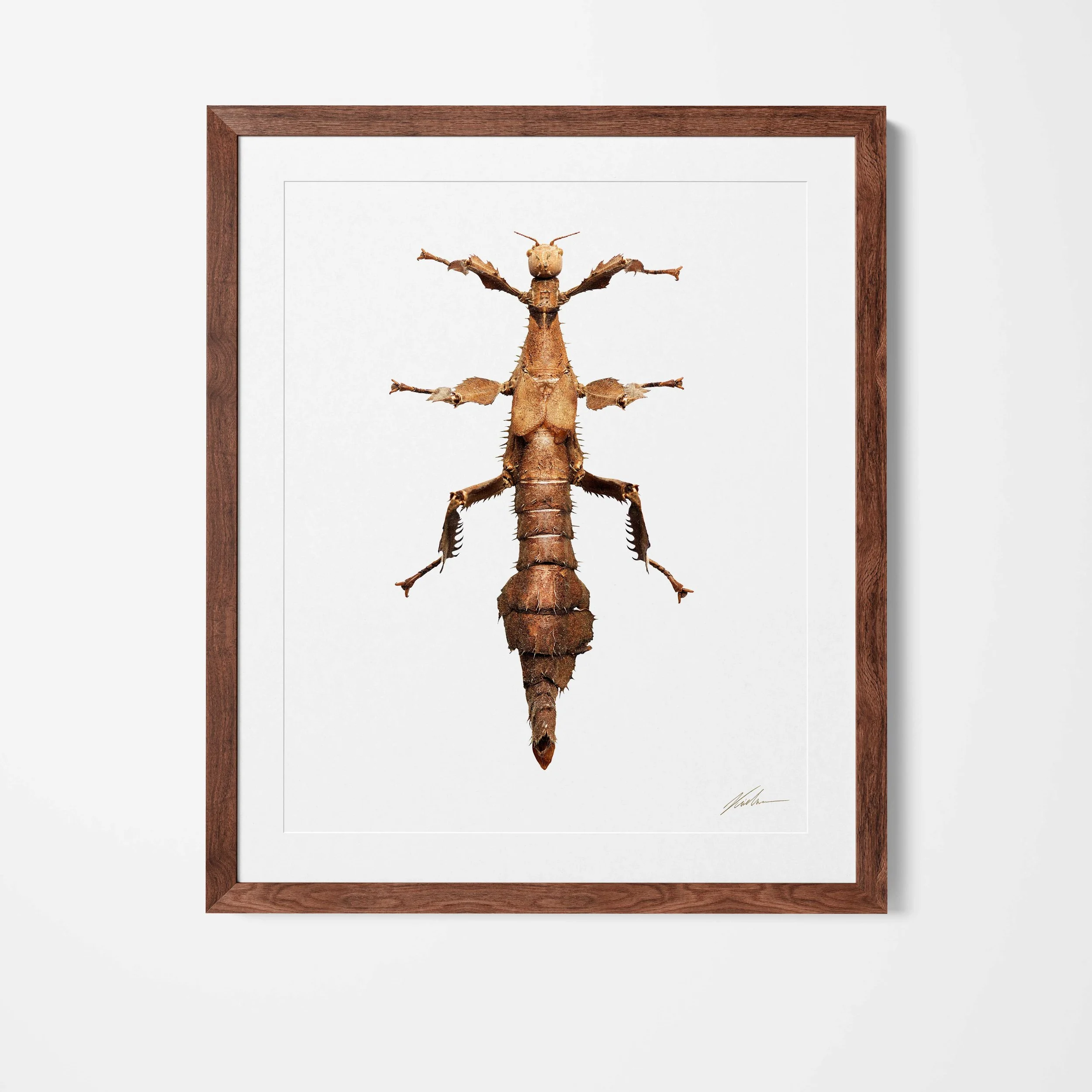 framed.jpg