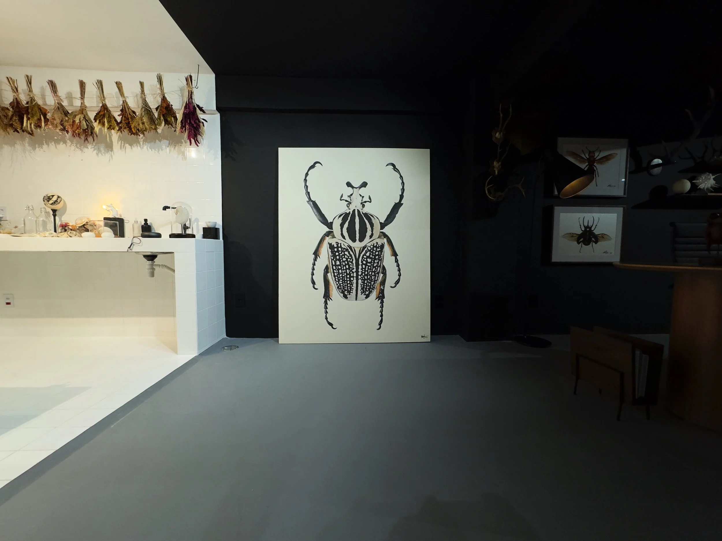 Arte de um inseto gigante em cores pretas e brancas exibida numa galeria com iluminação suave e paredes escuras.