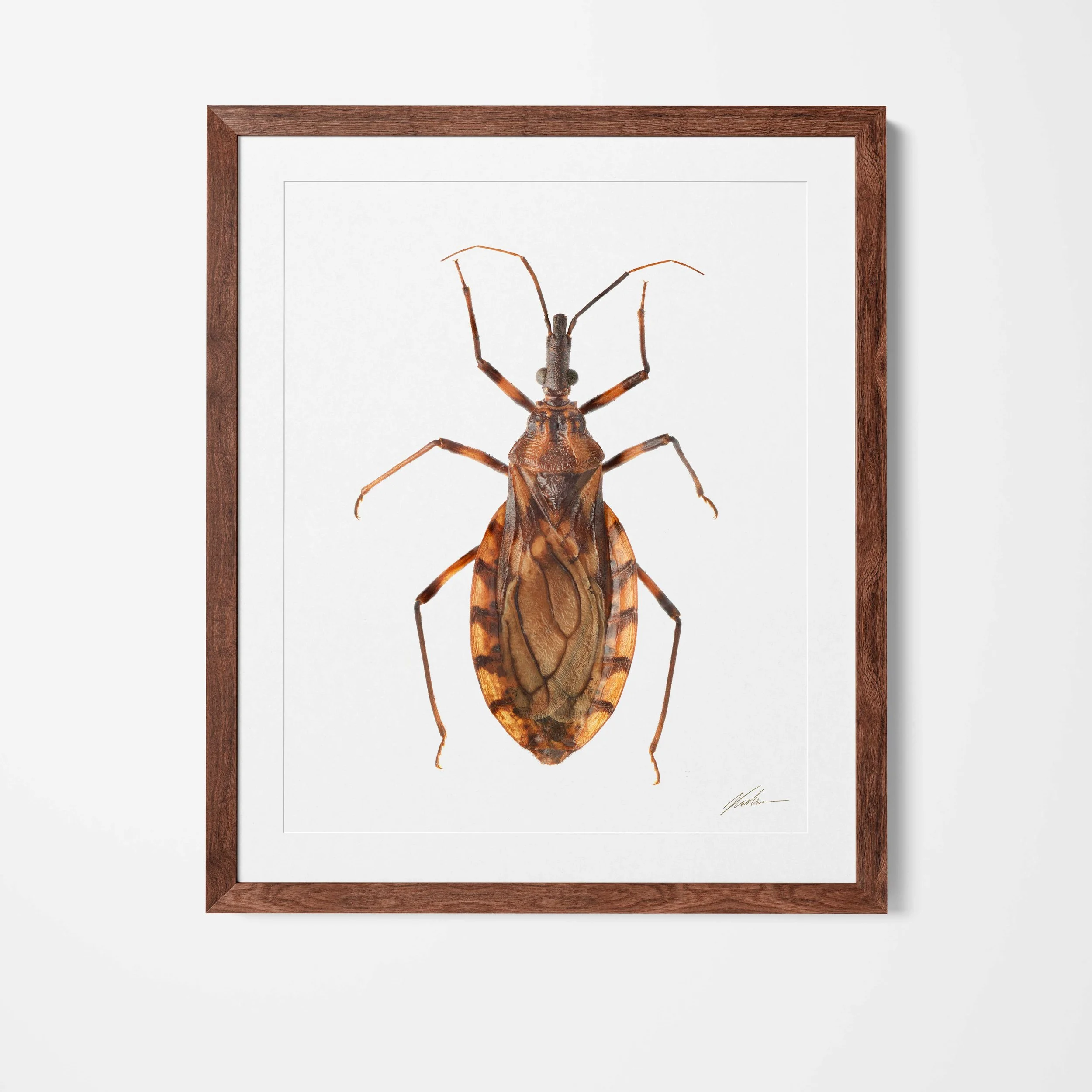 Framed_70.jpg