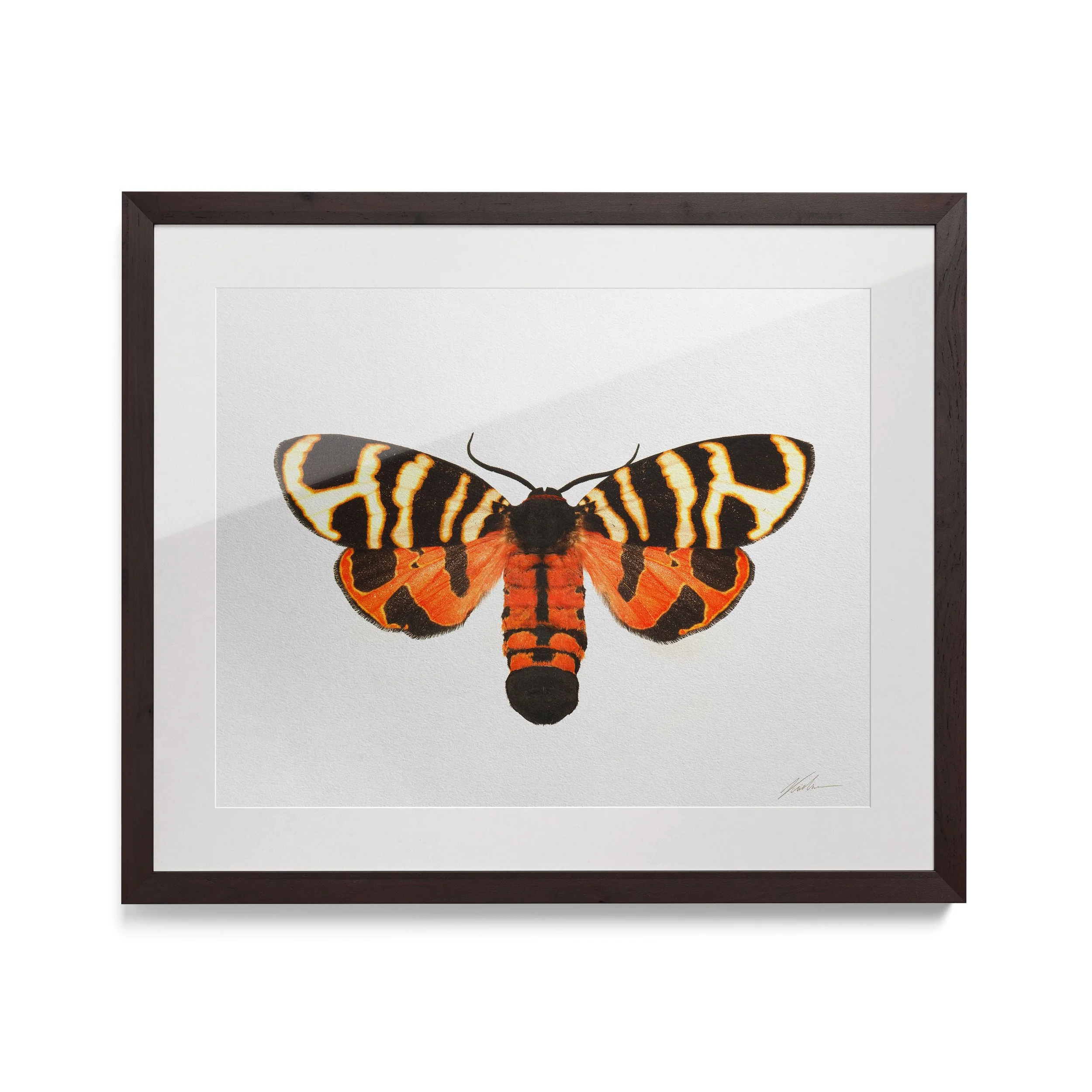 Marzin | Liege, Bélgica, 2015