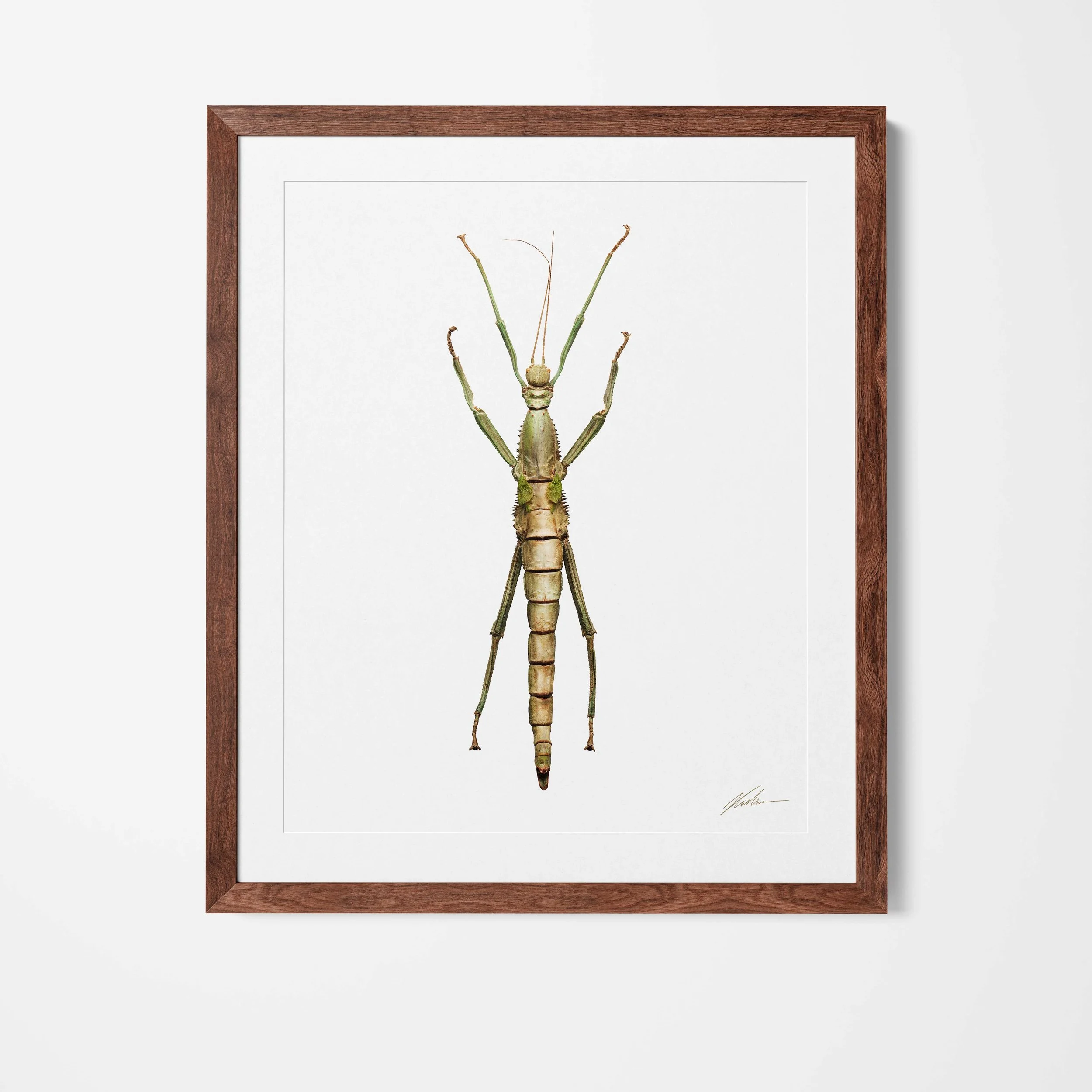 Framed.jpg