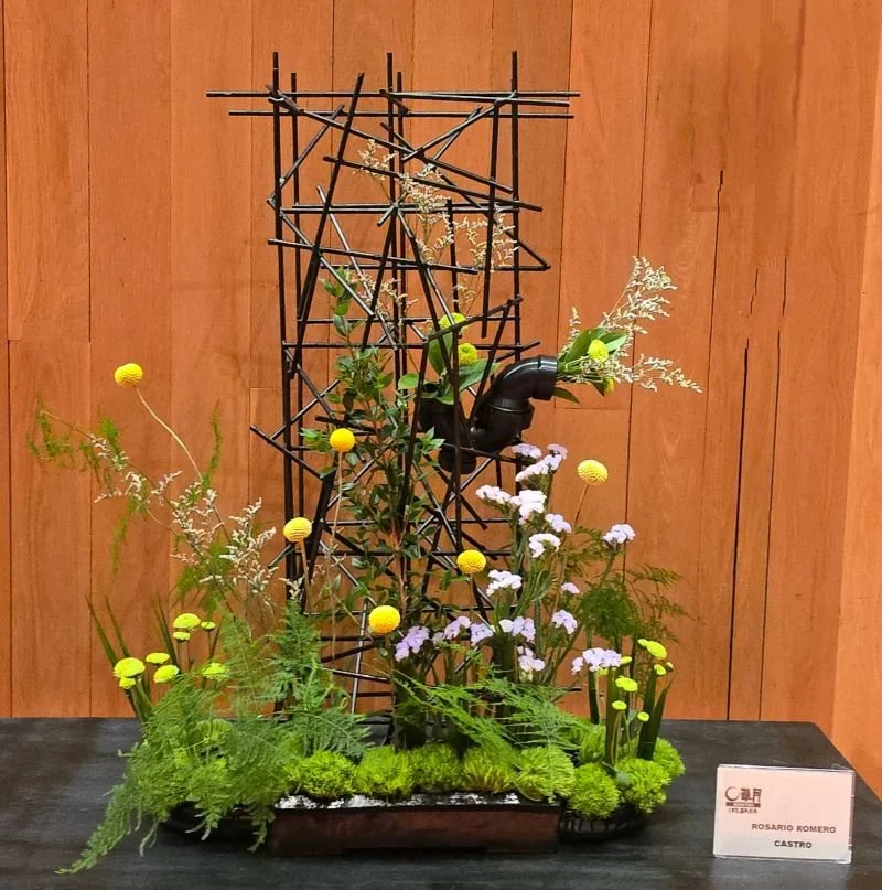  Rosario Romero Castro 