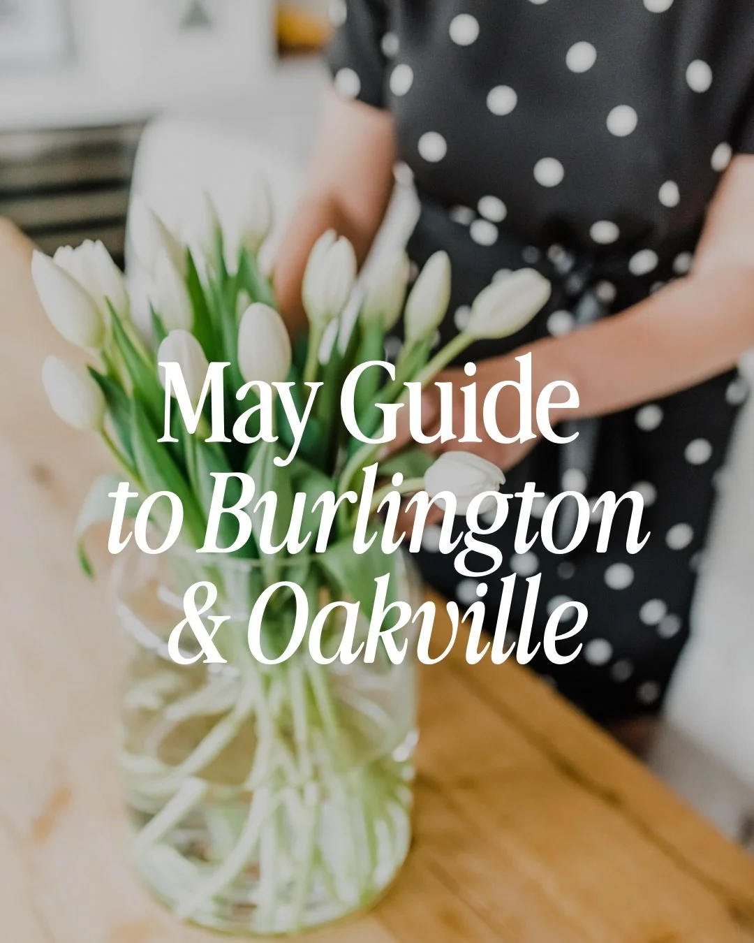 🌷May🌷

I might be biased since my birthday is in May, but it has to be one of the best months of the year!

The tulips are growing and everything is getting greener. Birds are chirping and the days are getting warmer. Patio season is around the cor
