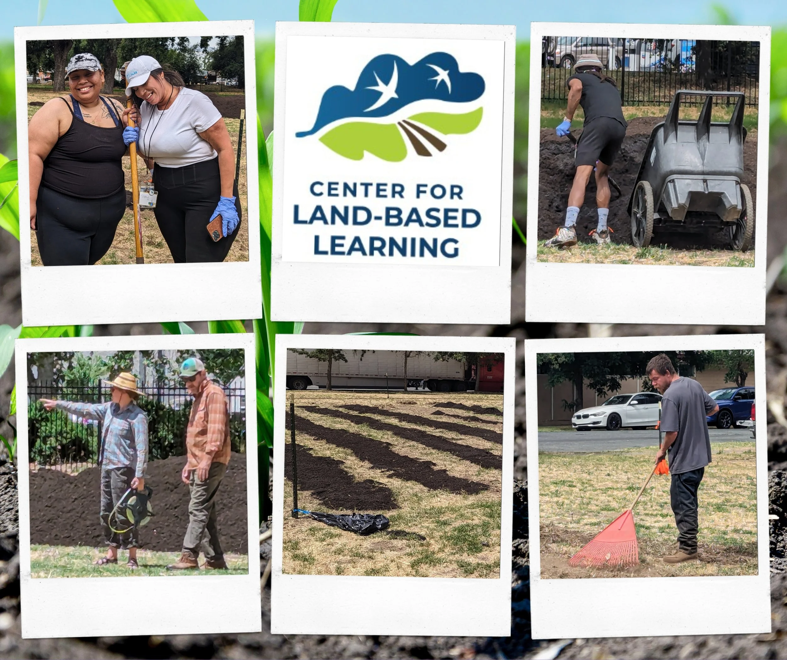 New Things Sprouting at the Mosaic Urban Farmlette!