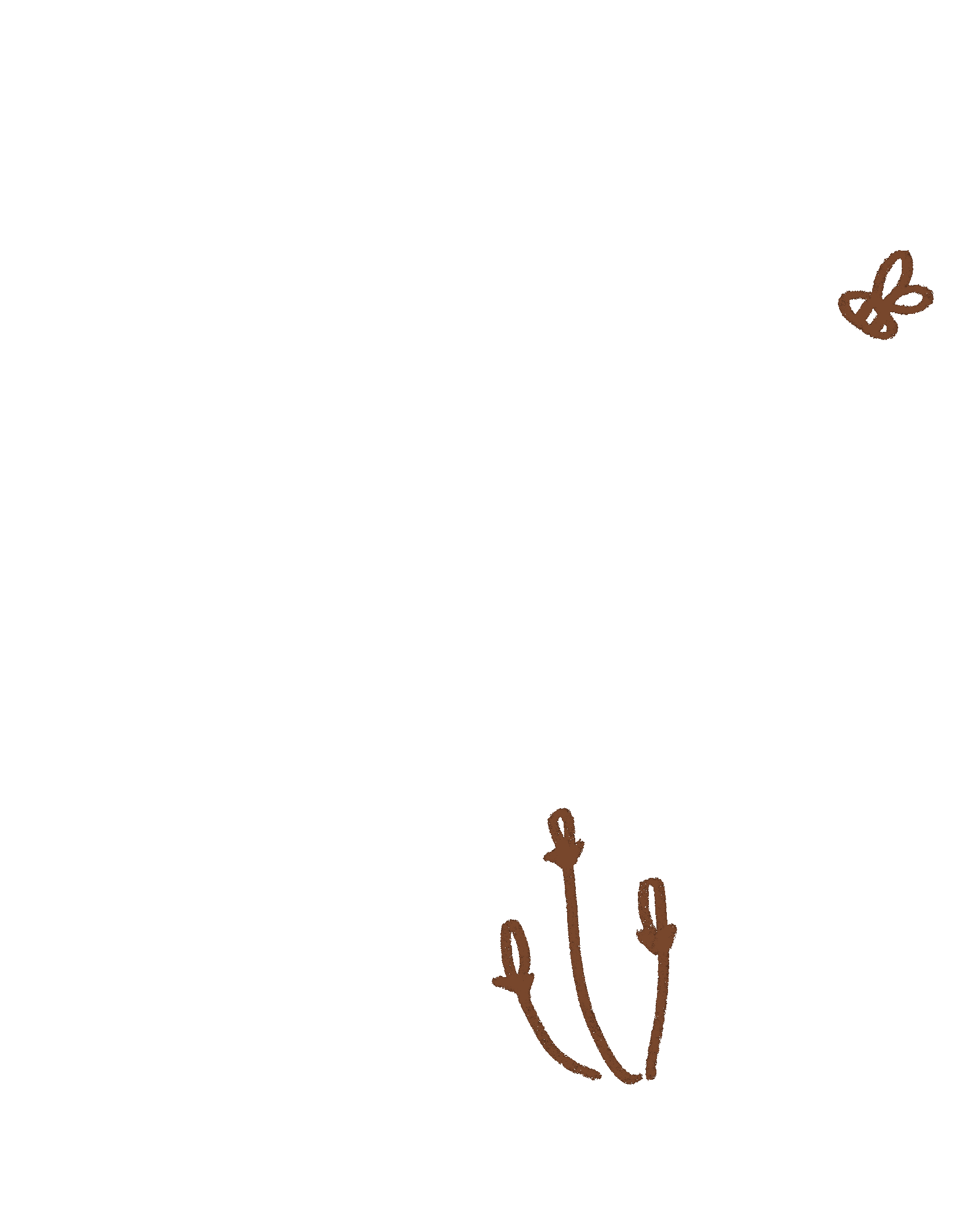 Untitled_Artwork 3.gif