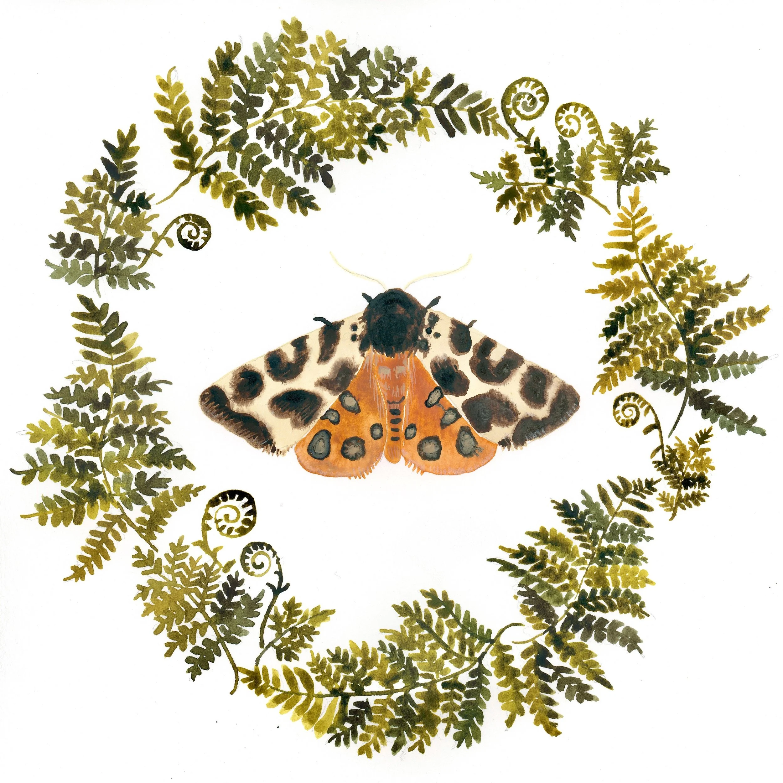 Flora & Fauna Wreath Prints