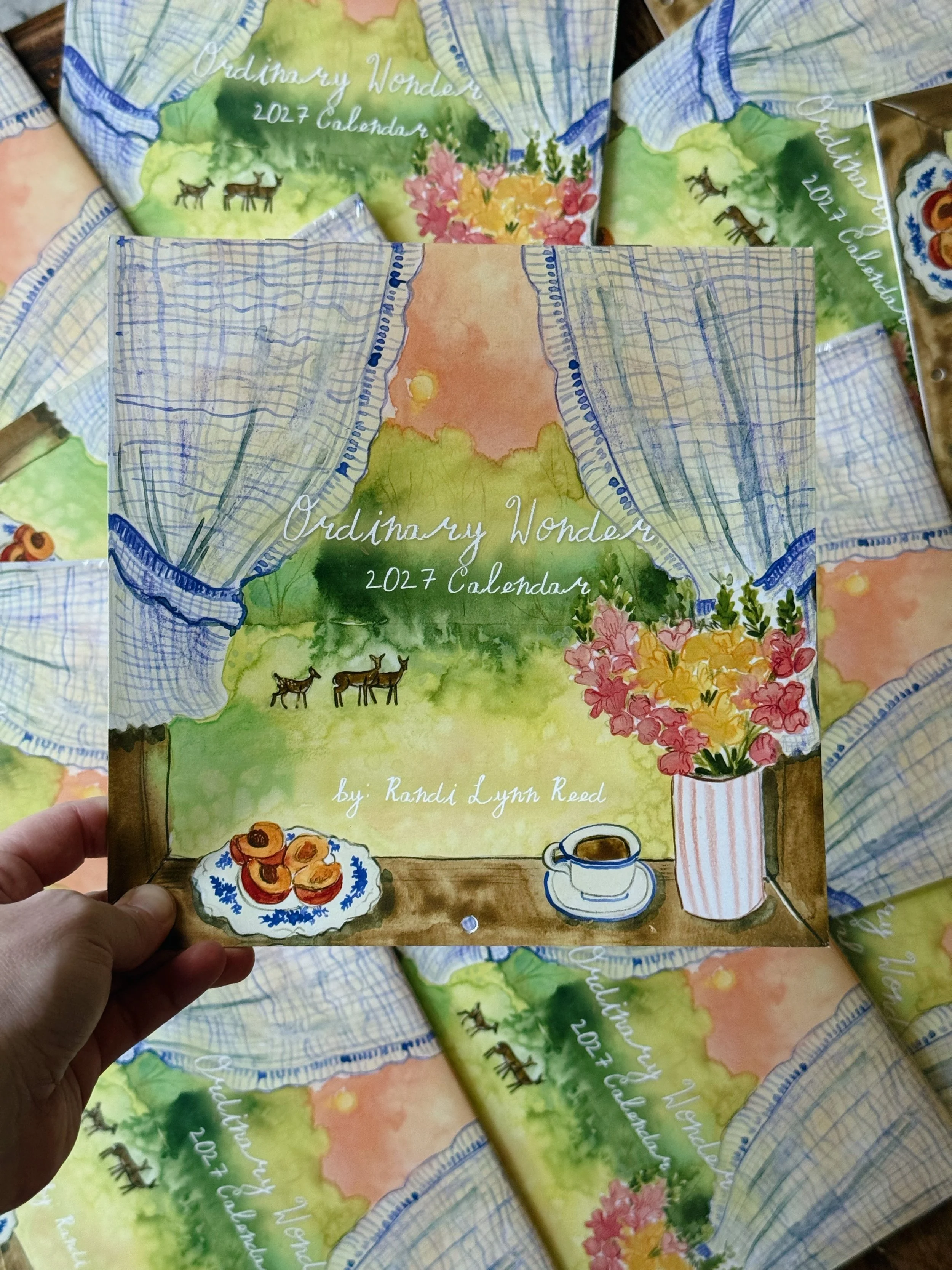 Ordinary Wonder 2027 Calendar