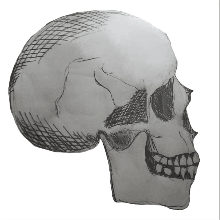 Animated Elements — DARLING ANIMATIONS