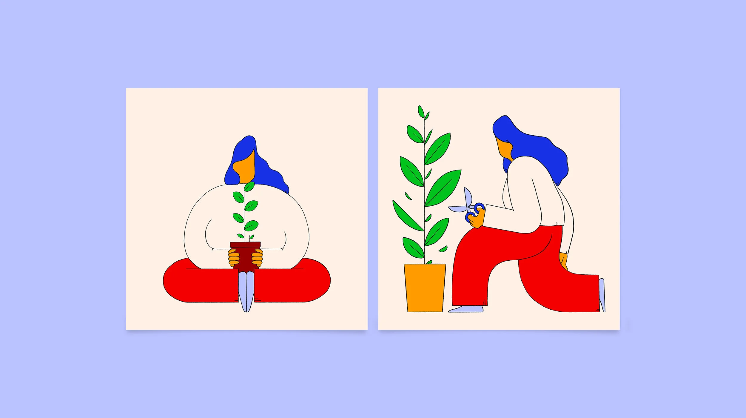 AWFH_Cover.jpg