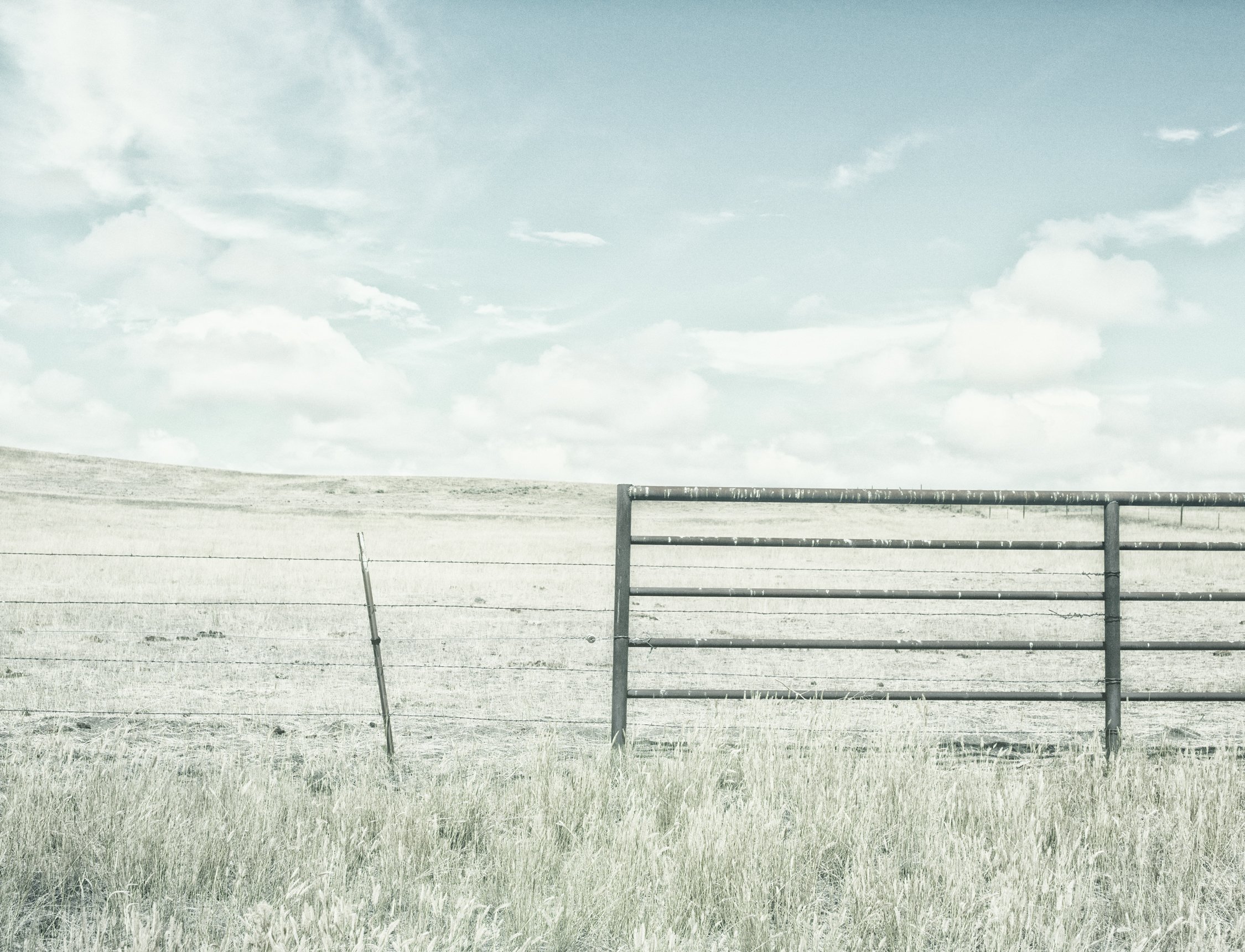 Montana Color — Jeff Corwin Fine Art
