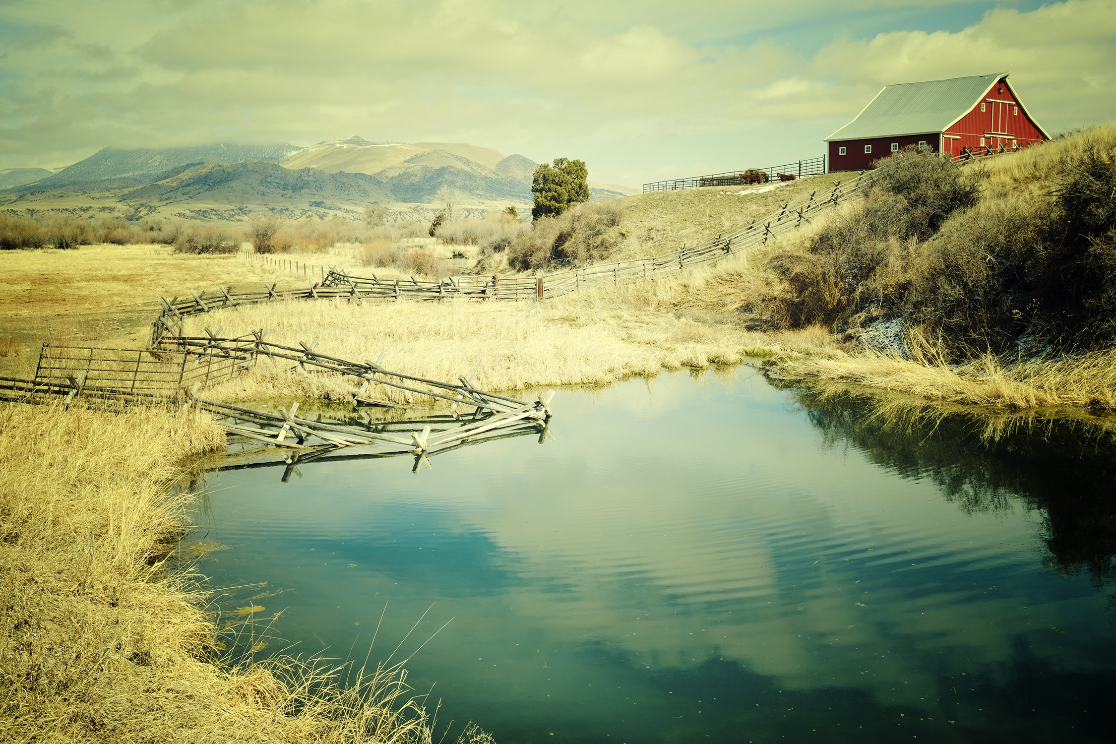 Montana Color — Jeff Corwin Fine Art