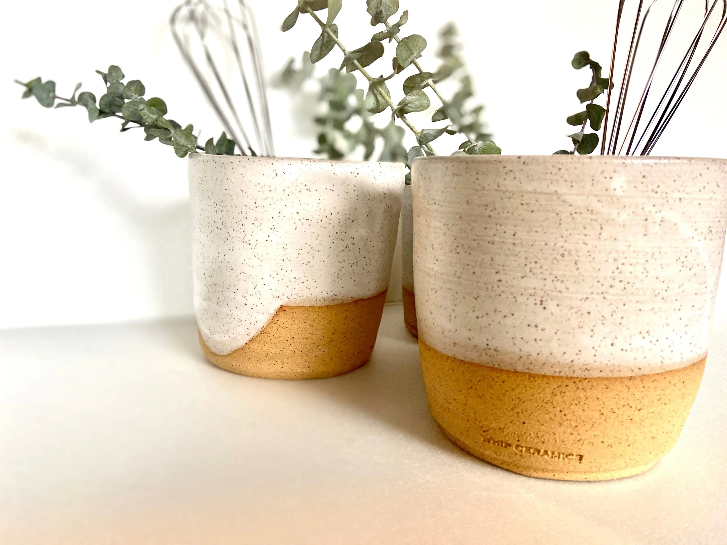 2E8A41B7-18C8-4C50-866A-2106A981EAF3