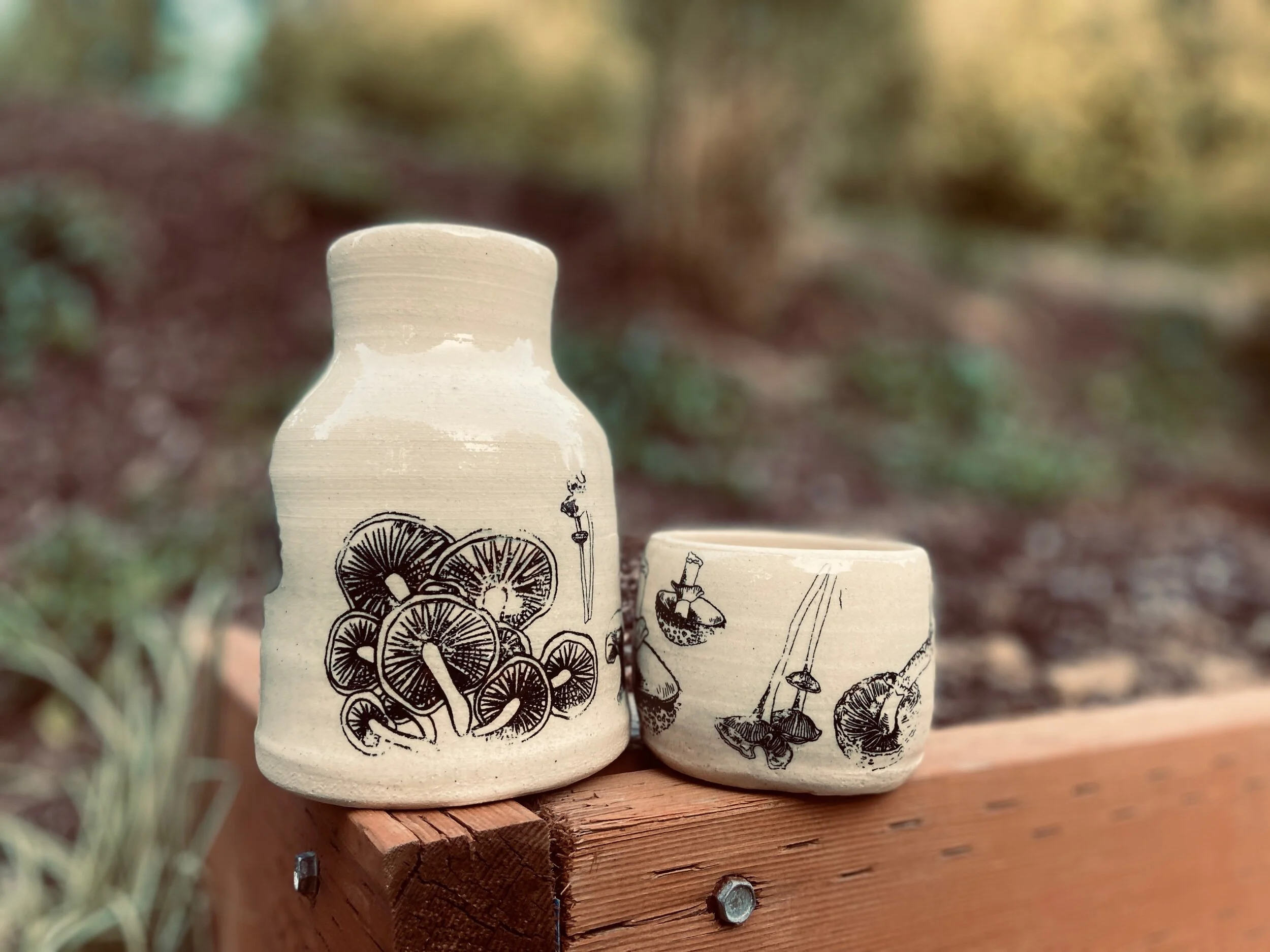 D2567B2A-4DA7-4DD7-A978-E2601D0EEACD