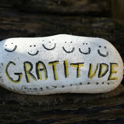 Cultivating Gratitude