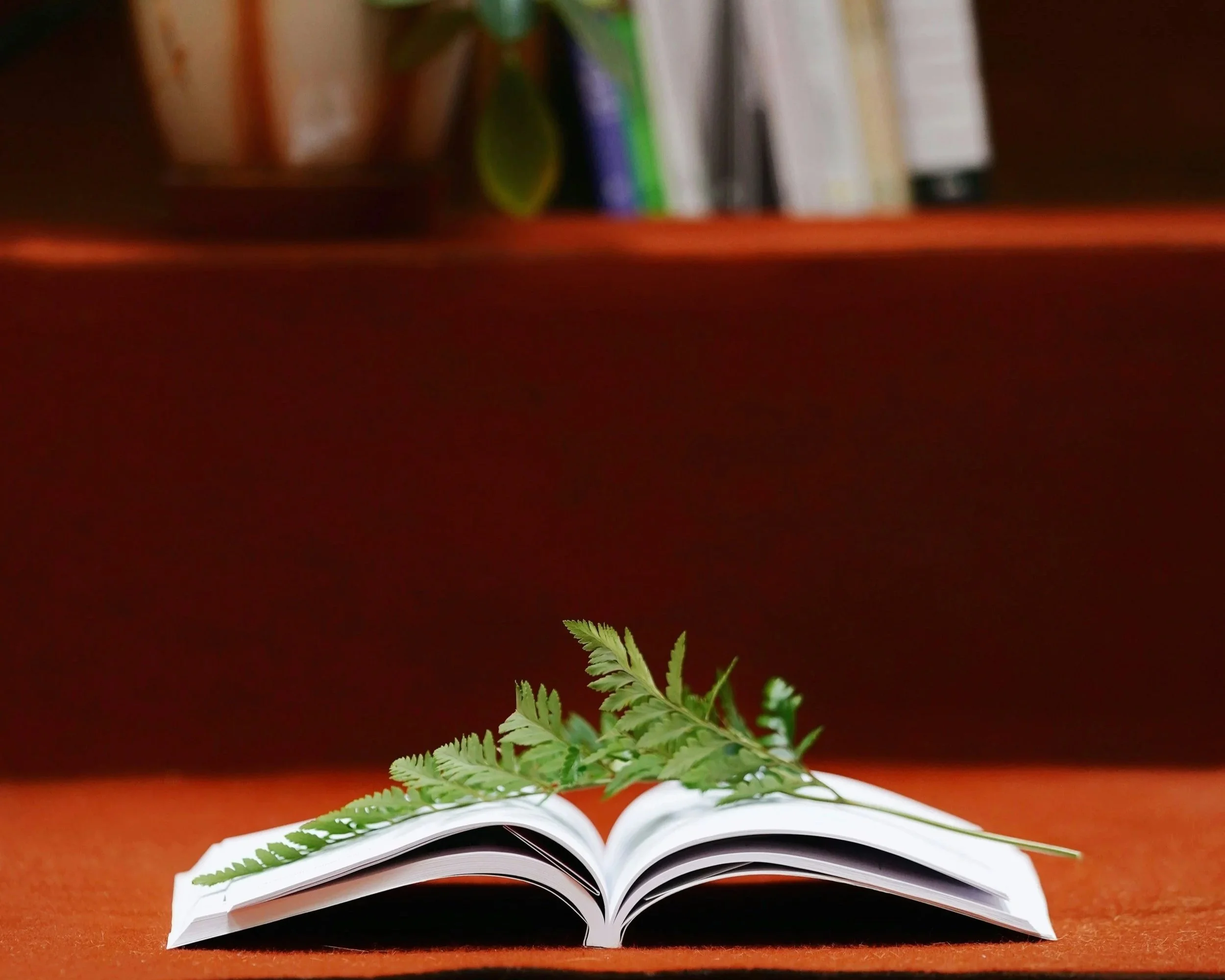 Mindful Readers Book Club