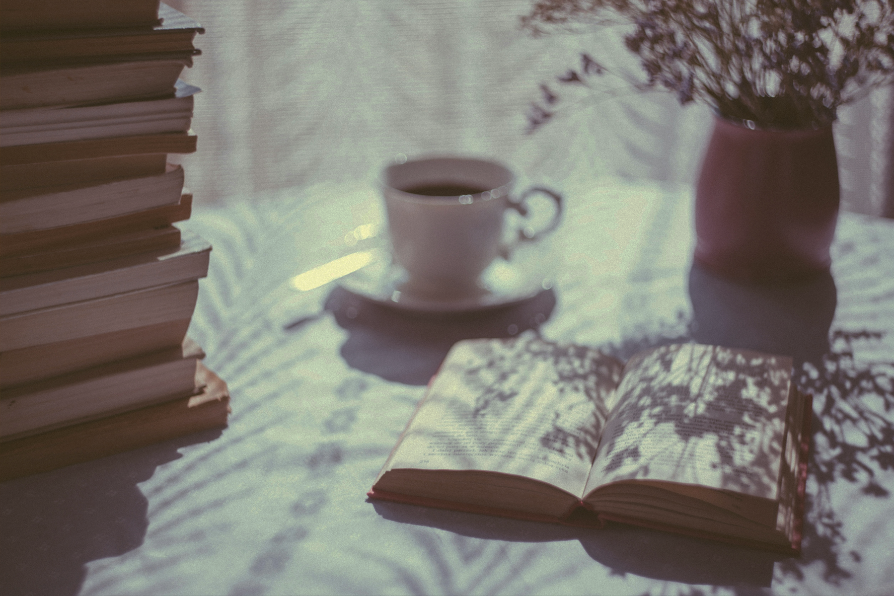 book-club-coffee-table-banner.png