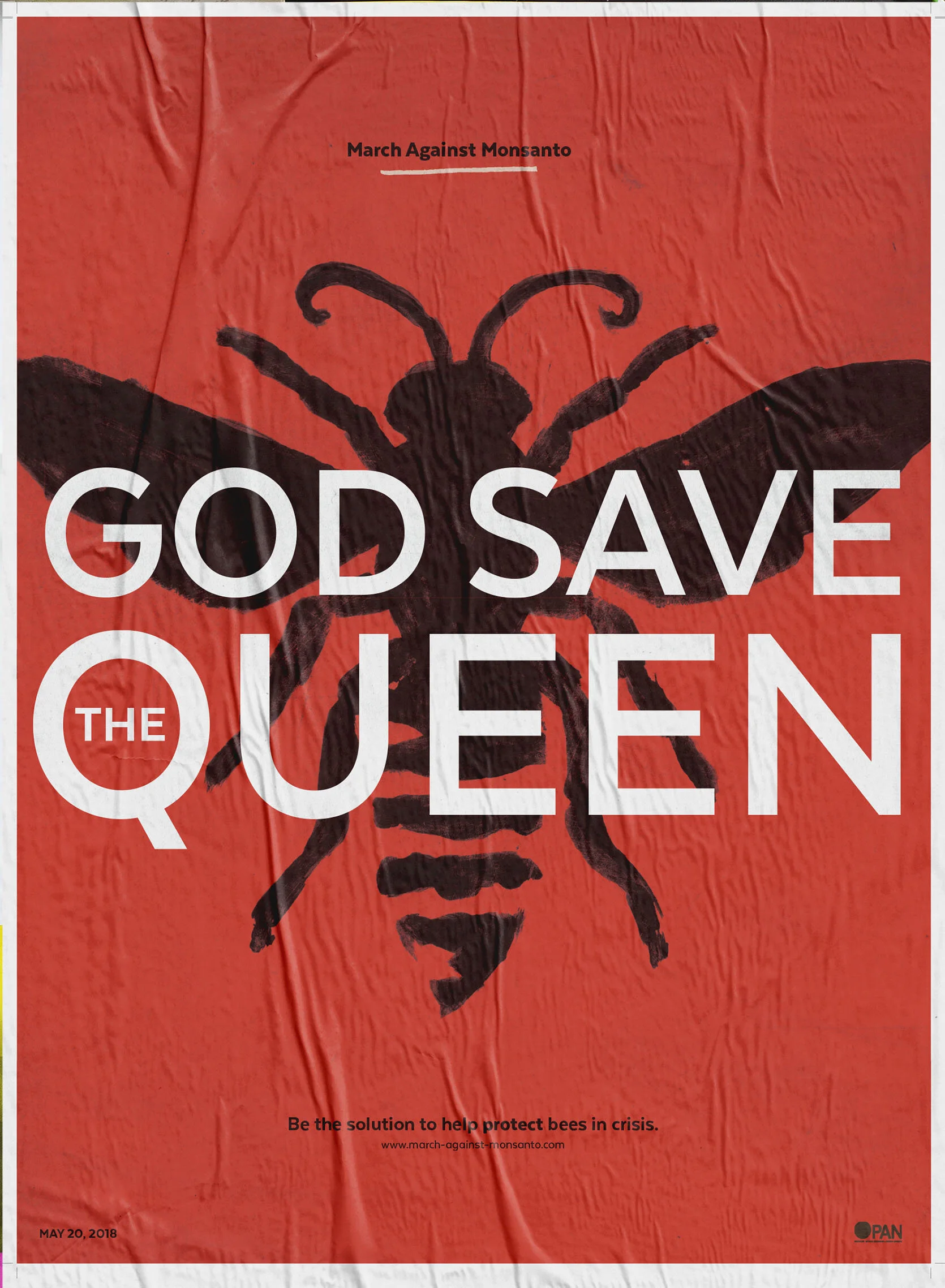 individual no bg FRONT.jpg