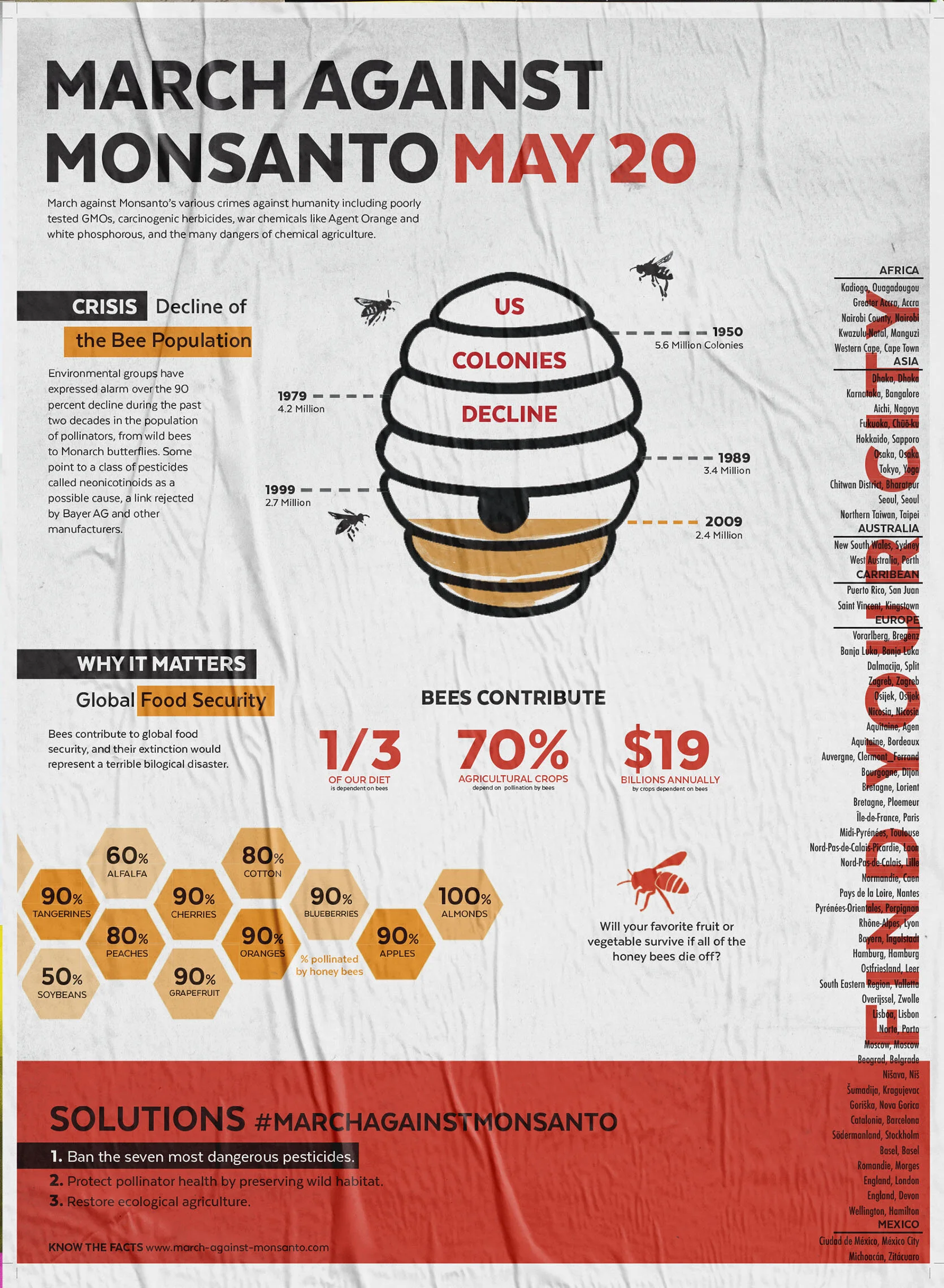 individual no bg BACK.jpg