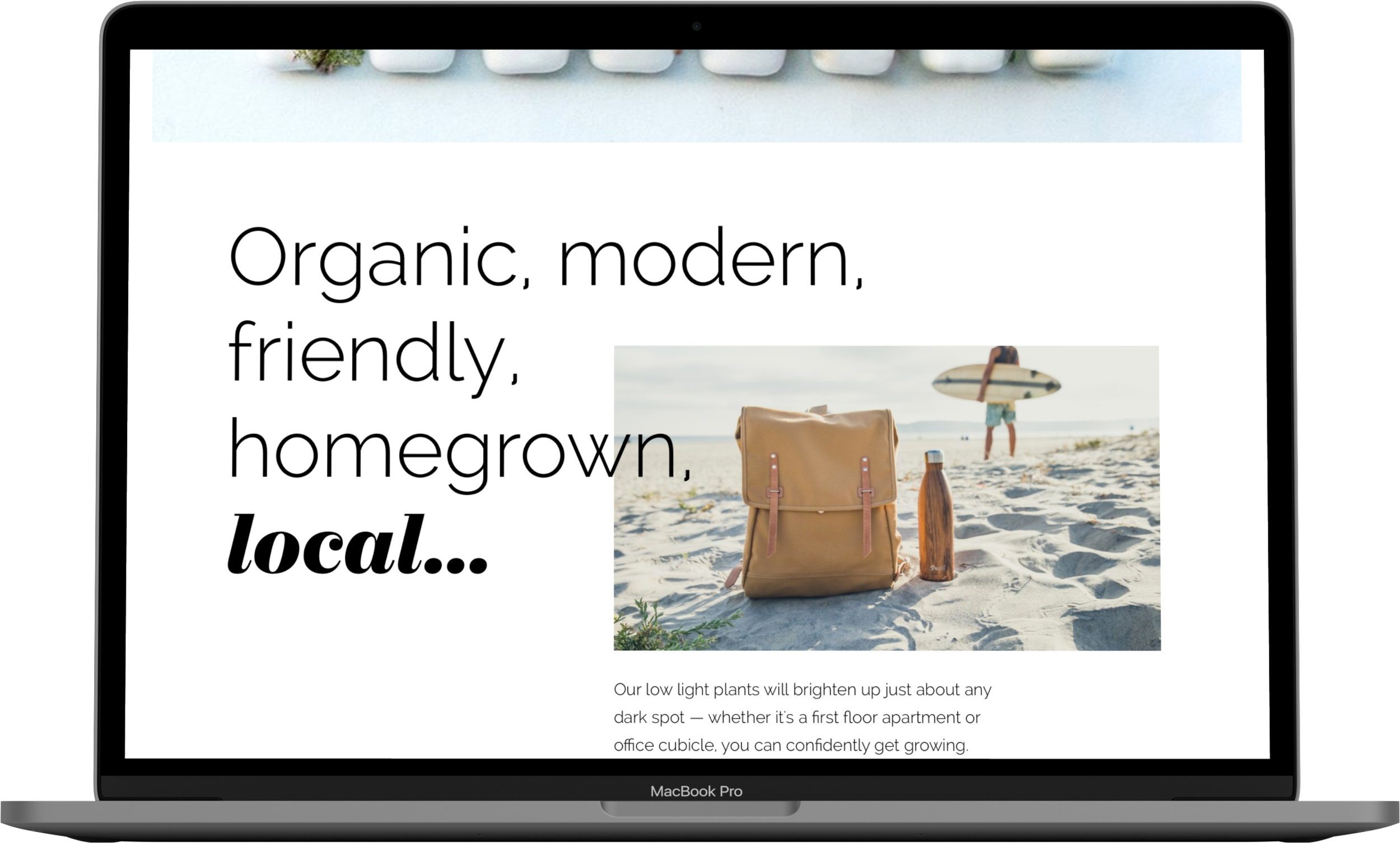 Landing page2.png