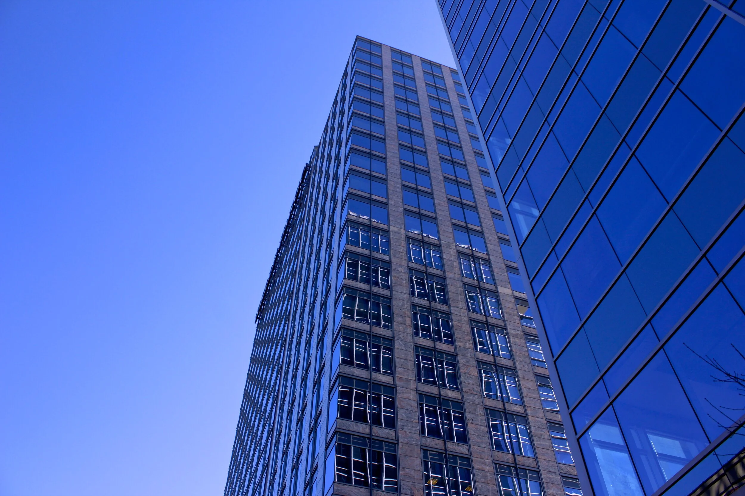 _MG_9135 copy.JPG2.JPG