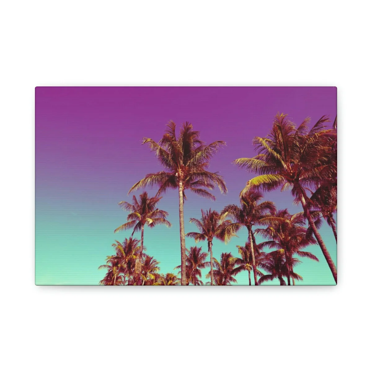 34c1365d3b1561e2e41428f589cea9f5