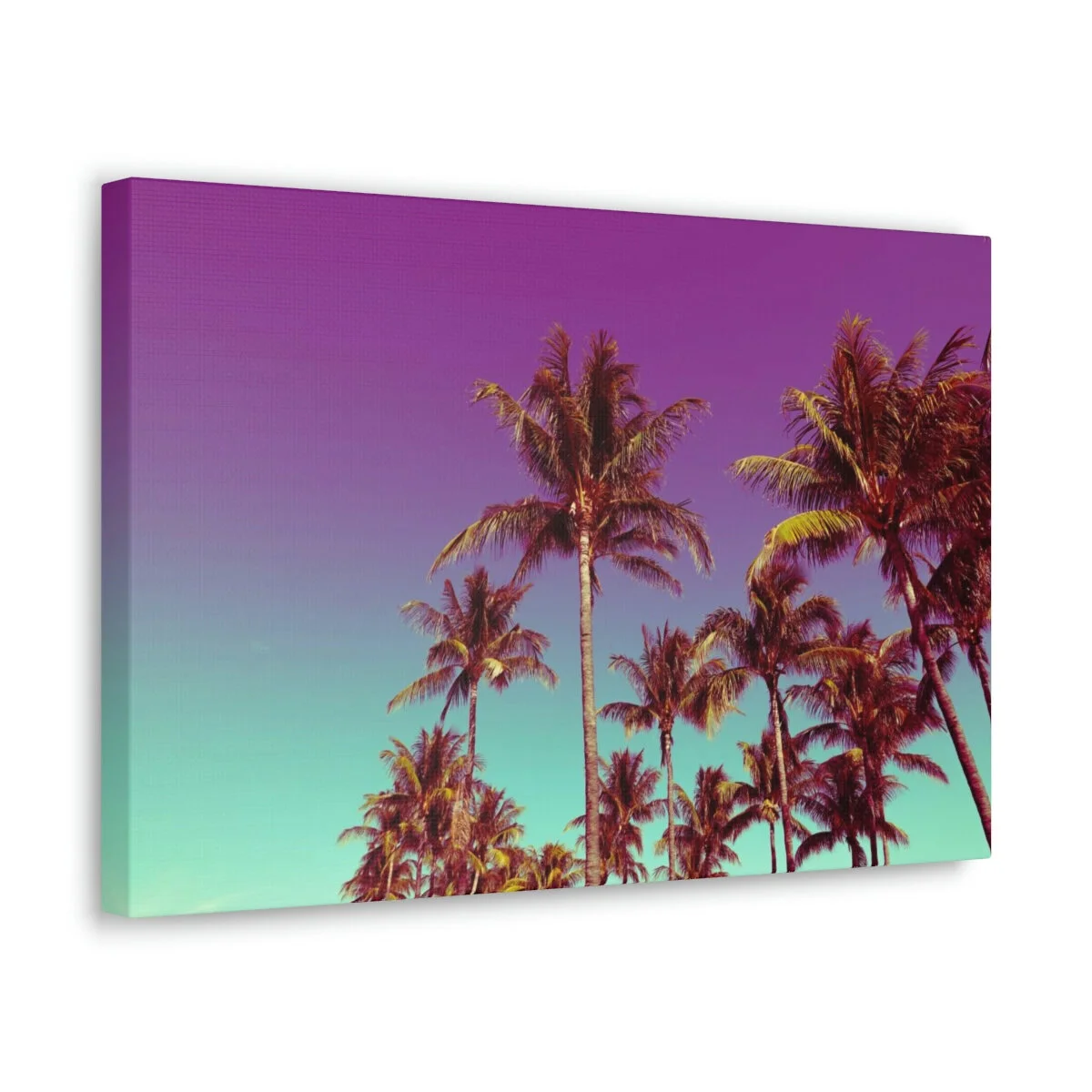 31ba7e3224a7fcc5c6a892abc946f0b1