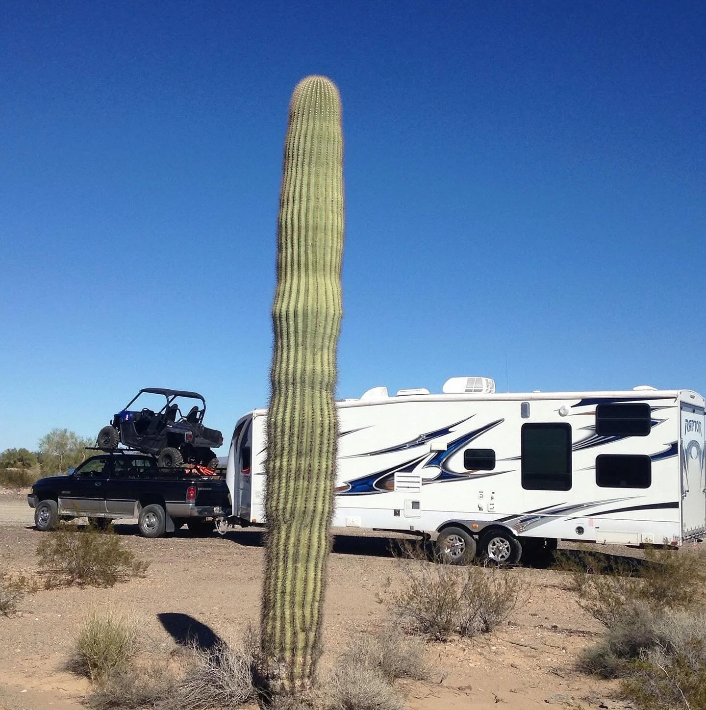It&rsquo;s #desertseason 🌵call today to get your #toyupindustries #sxsdeck 🤠 and remember we have #nationwidedelivery🚚💯 #toyupcrew🇺🇸 #snowbirds #duneseason