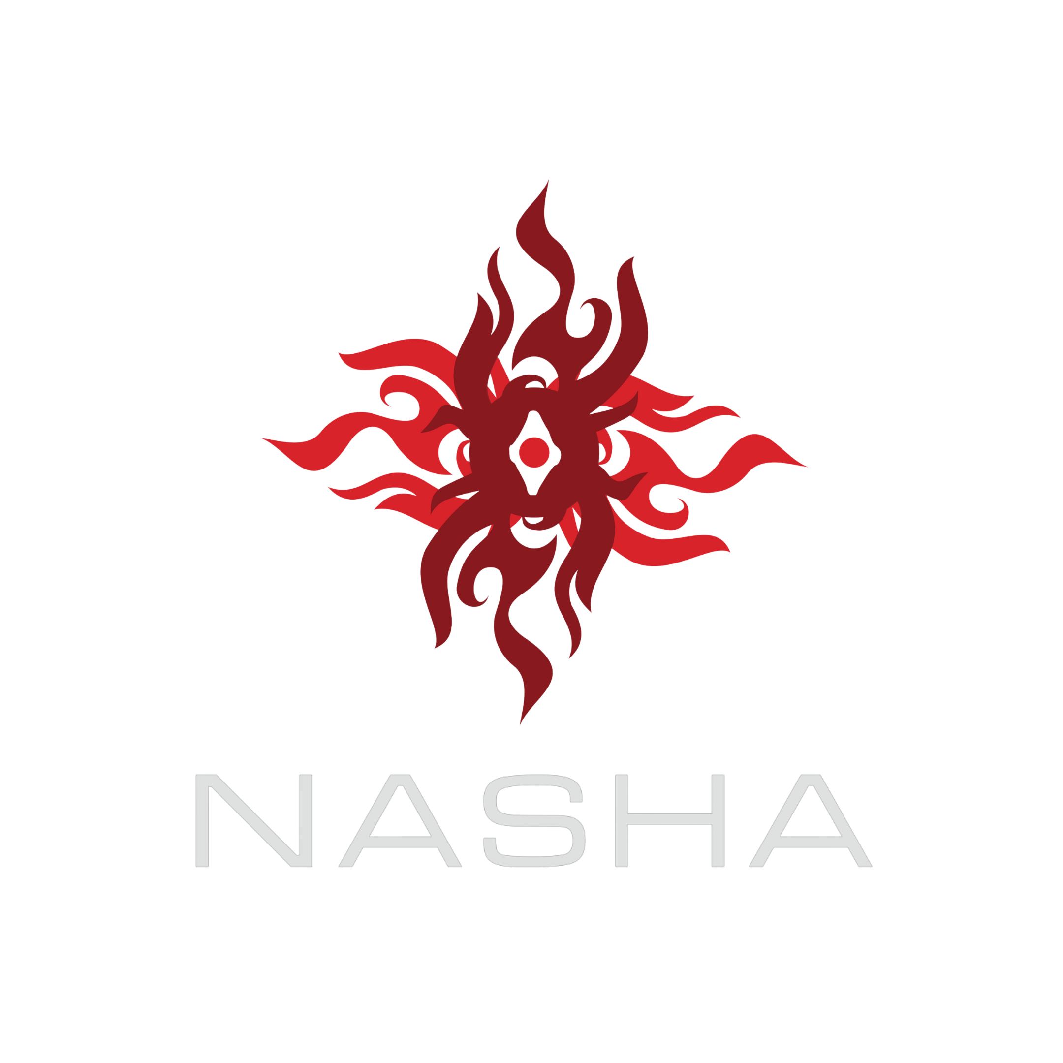 NASHA LANE7 PROJECT.png