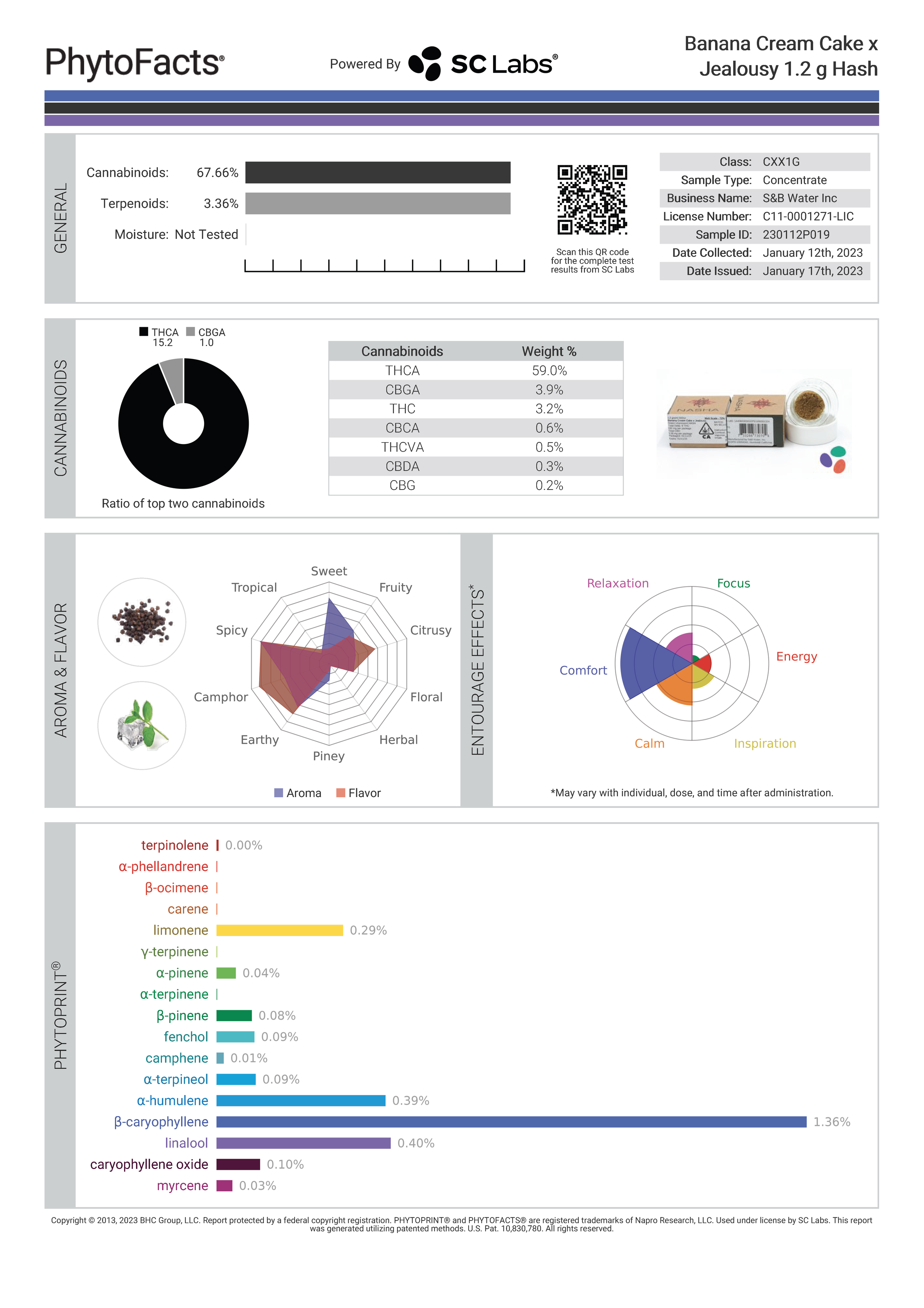 Banana Cream Cake x Jealousy Strain Profile — Nasha Hash