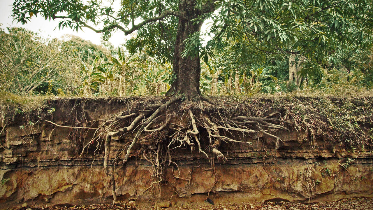 Embodying Resilience