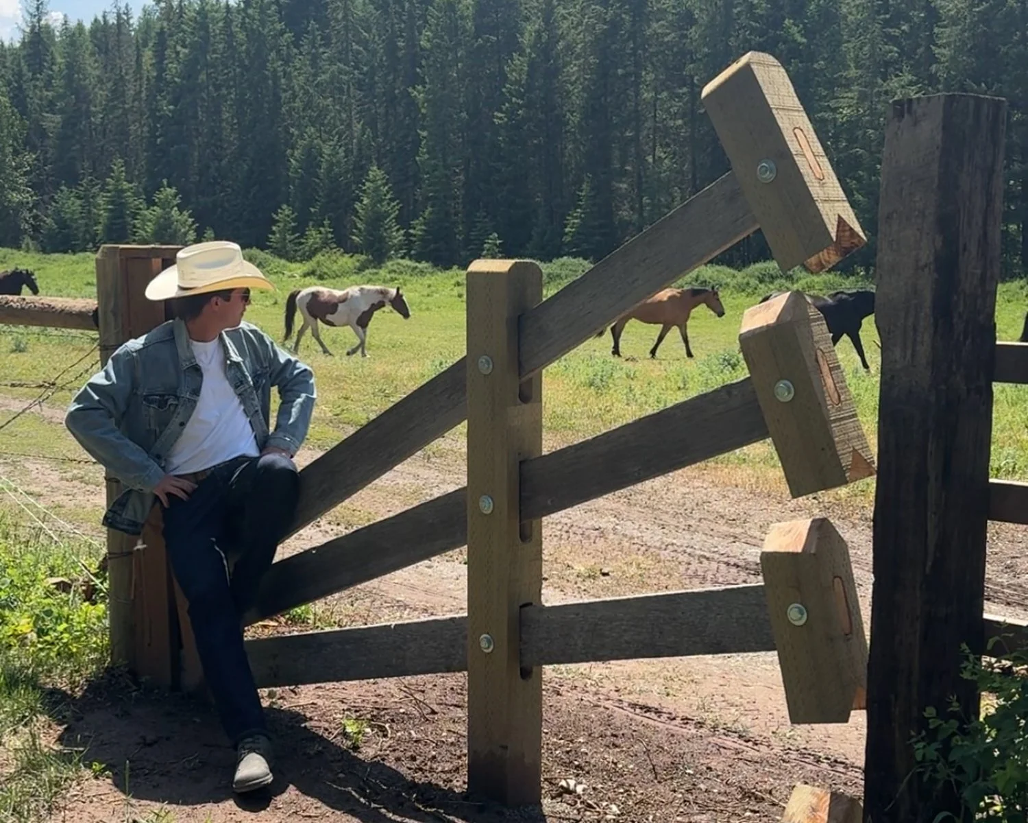 Clapper Gate Horse copy.jpg