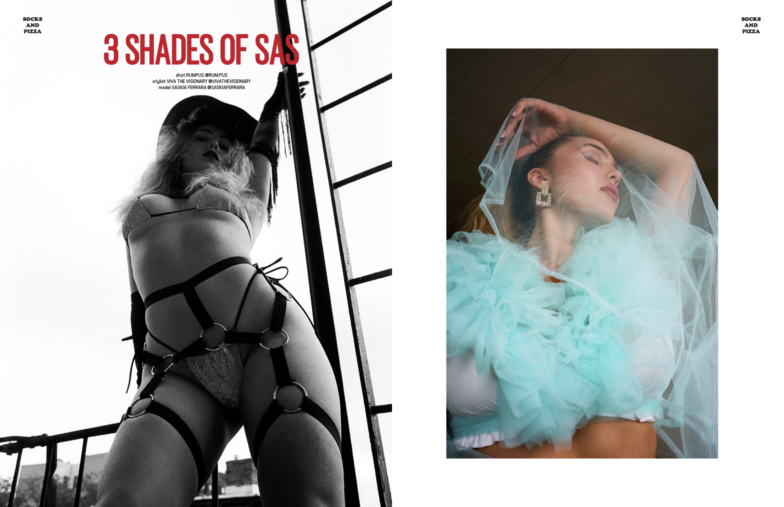 10 SHADES OF SAS (dragged).png