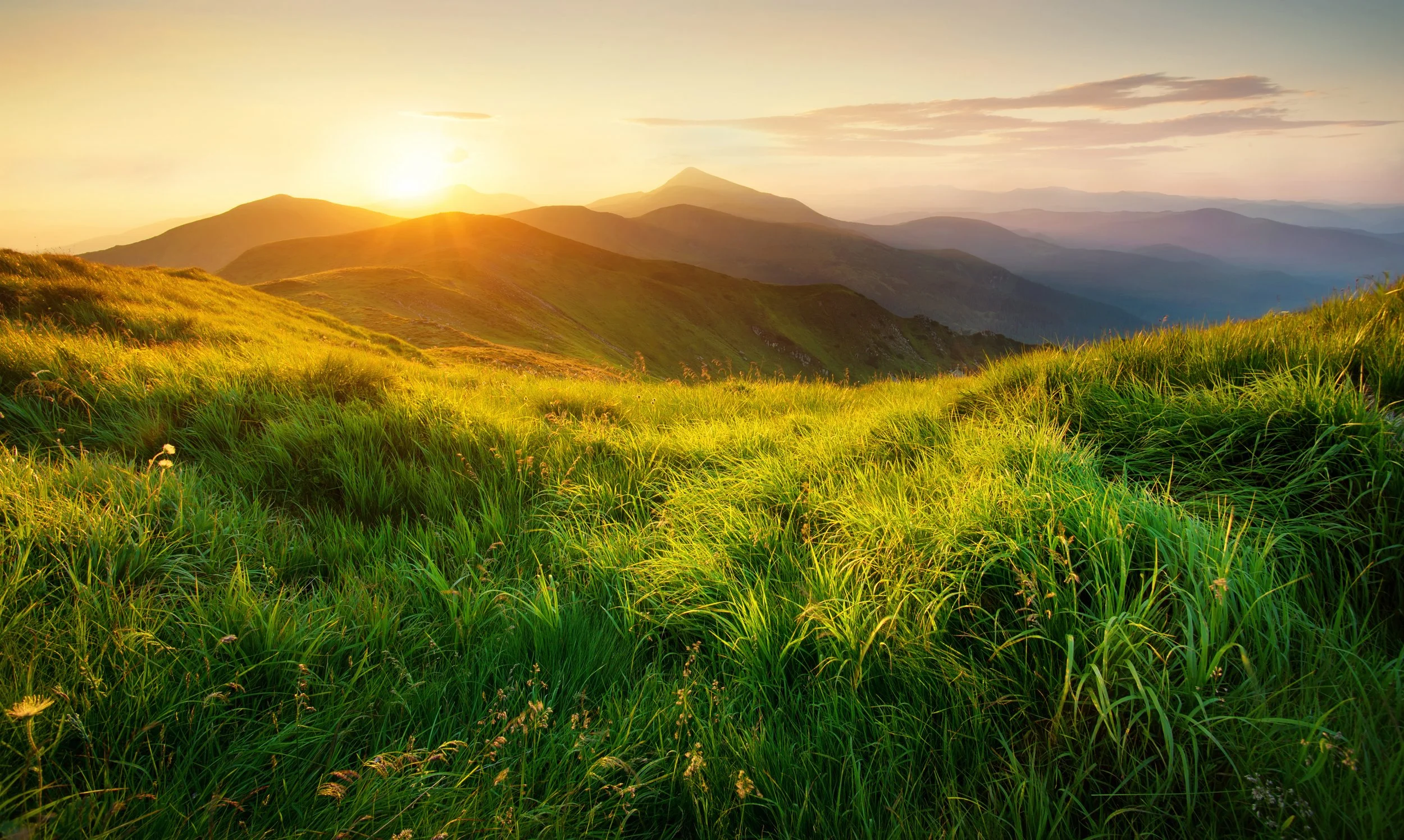 Grass and rolling hills .jpg