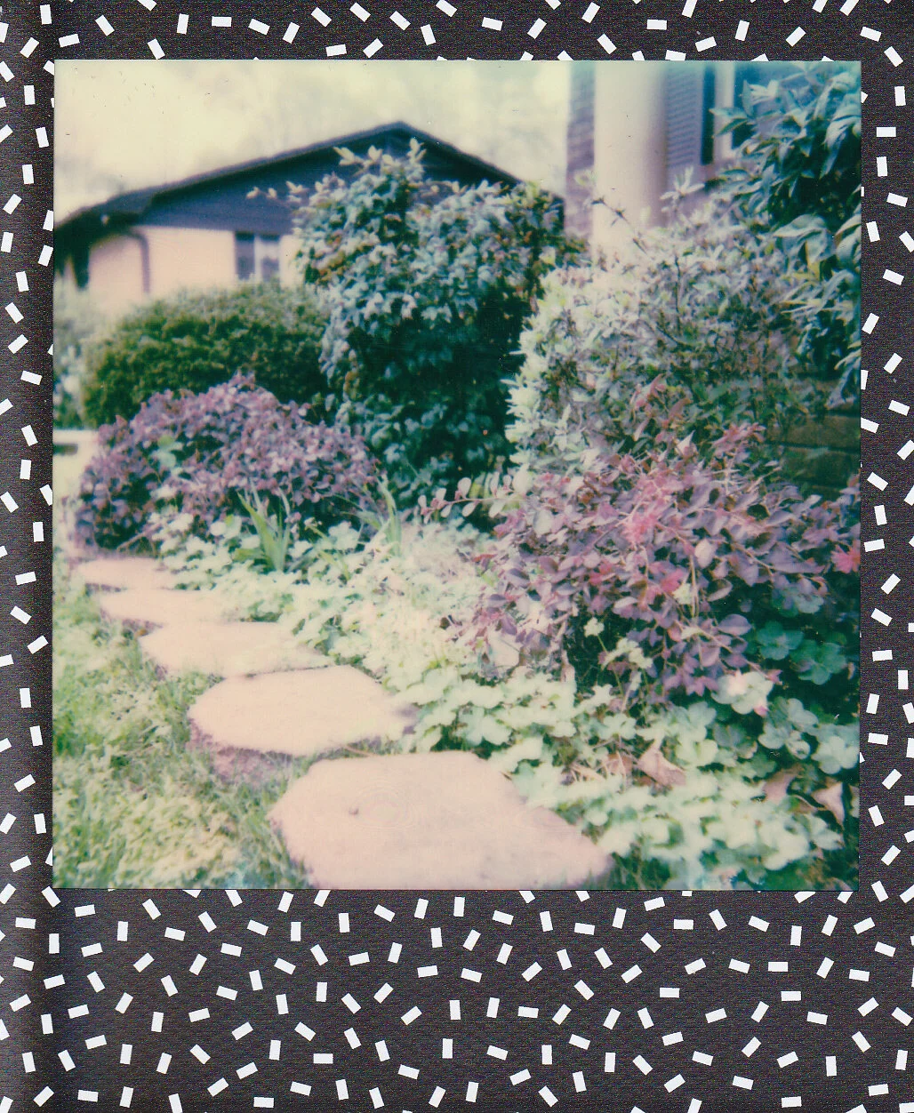 Self-Isolation, Day 4: In Spite of It All, Spring Came