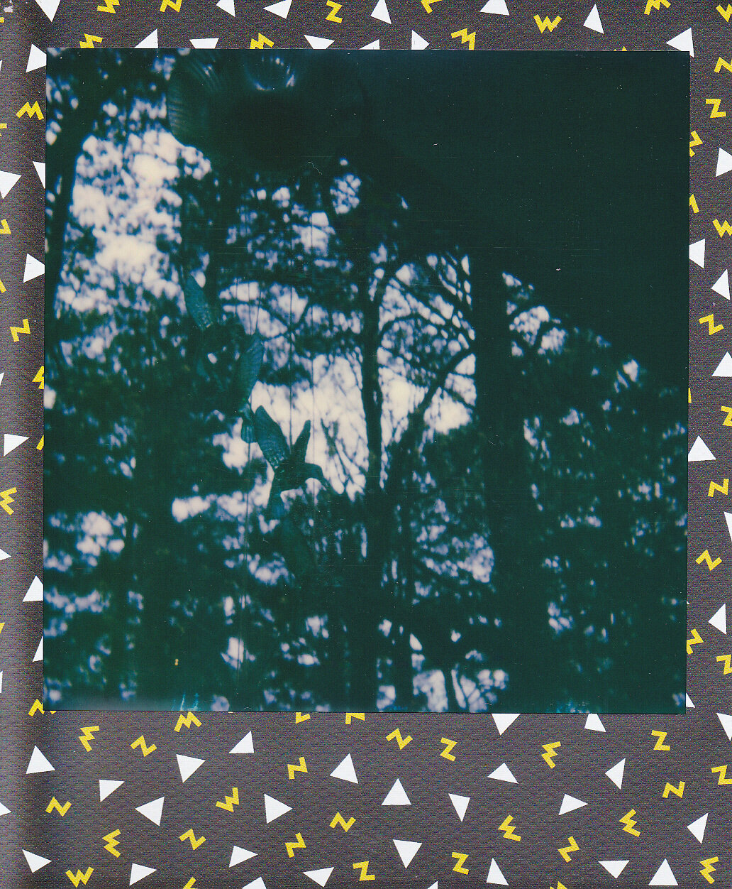 Self-Isolation, Day 5: And The Rain Came... Again