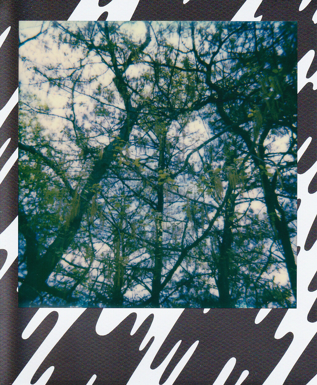 Self-Isolation, Day 10: Reach for the Sky