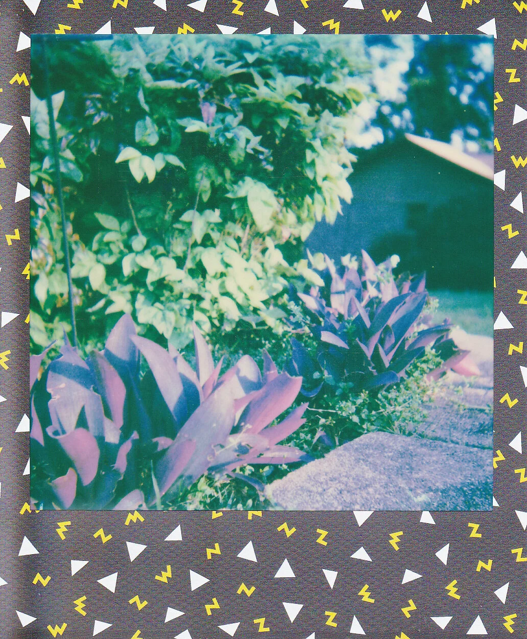 Self-Isolation, Day 17: Sunset in Spring