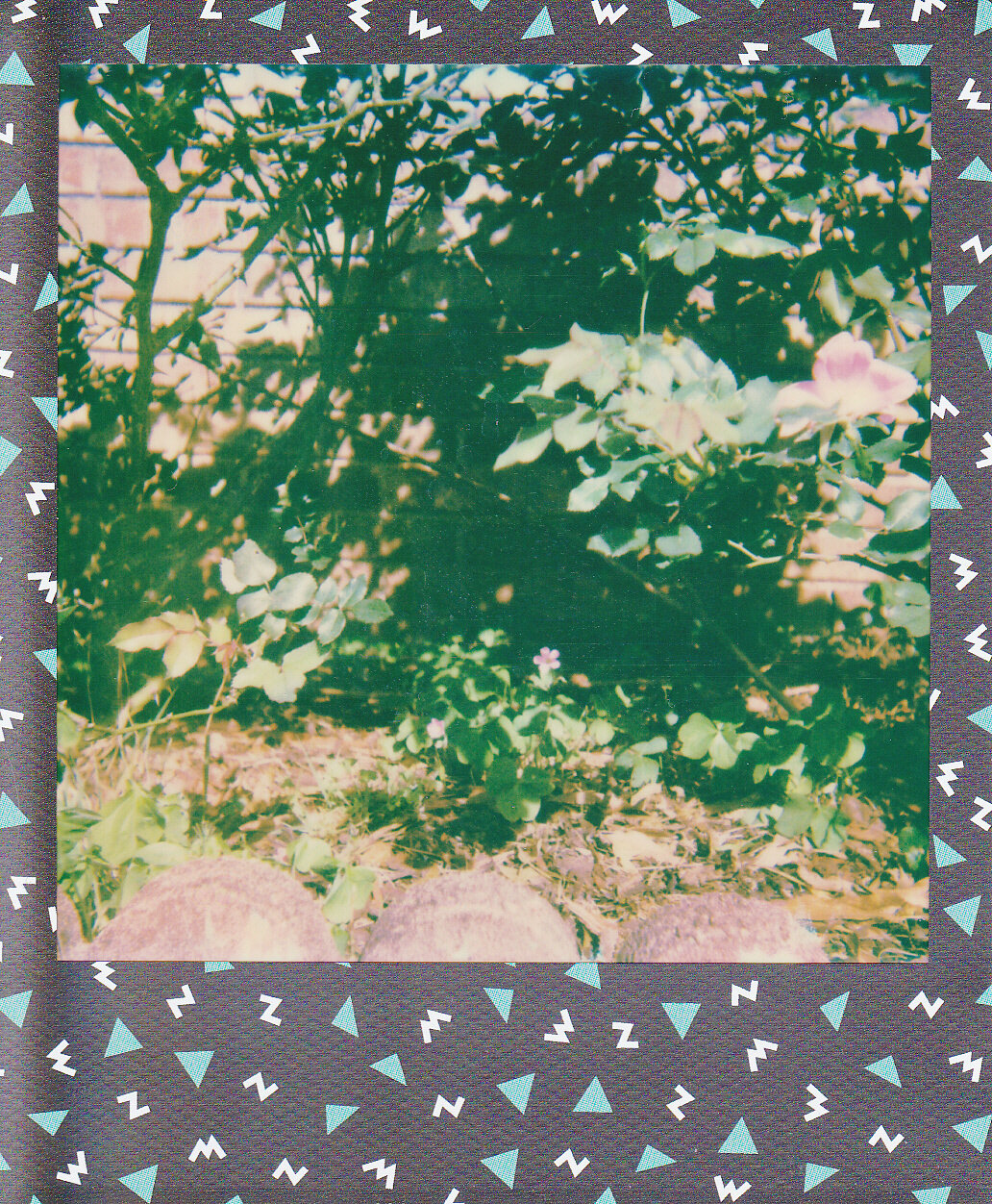 Self-Isolation, Day 18: Every Hidden Thing