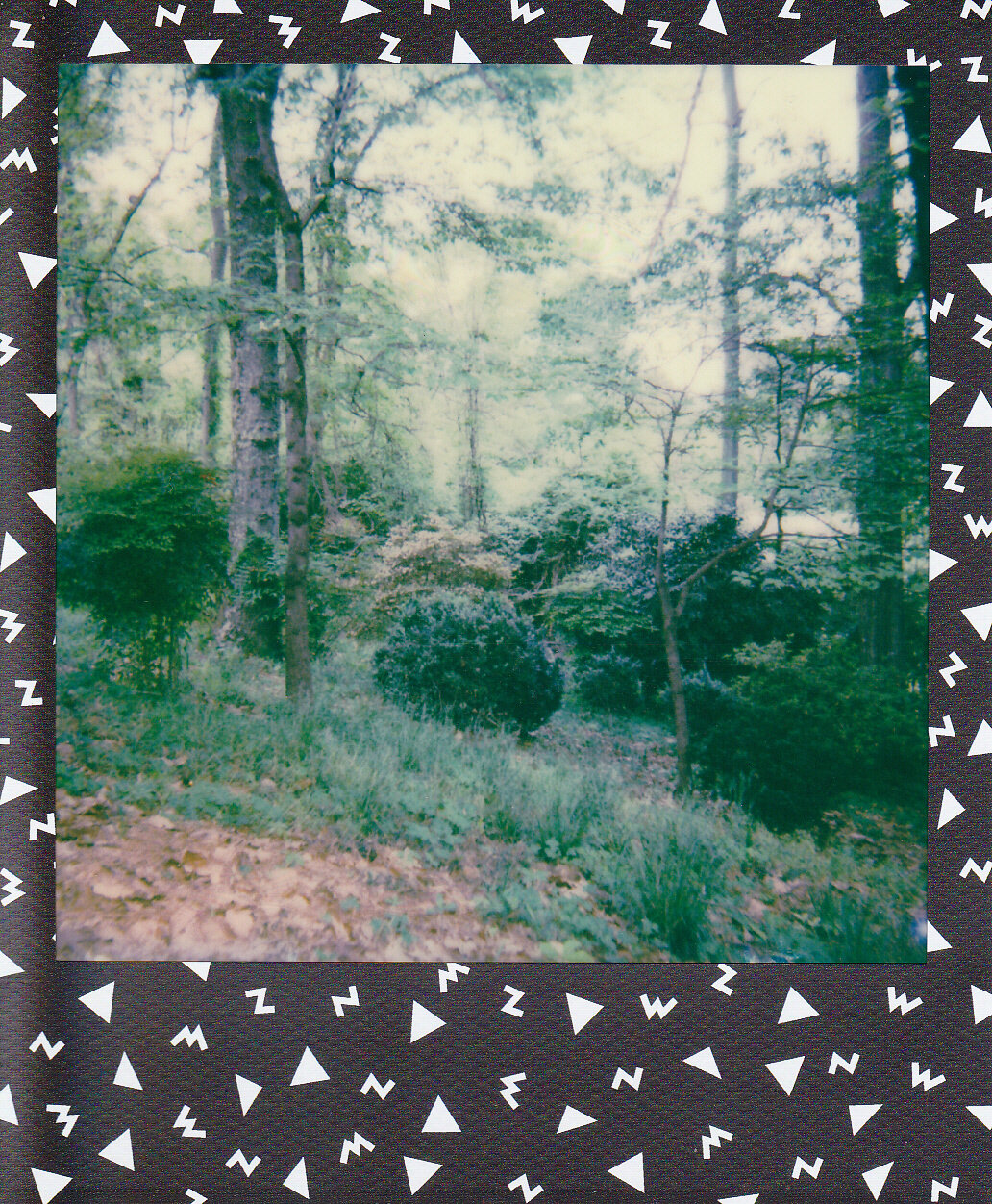 Self-Isolation, Day 19: Out There, Somewhere