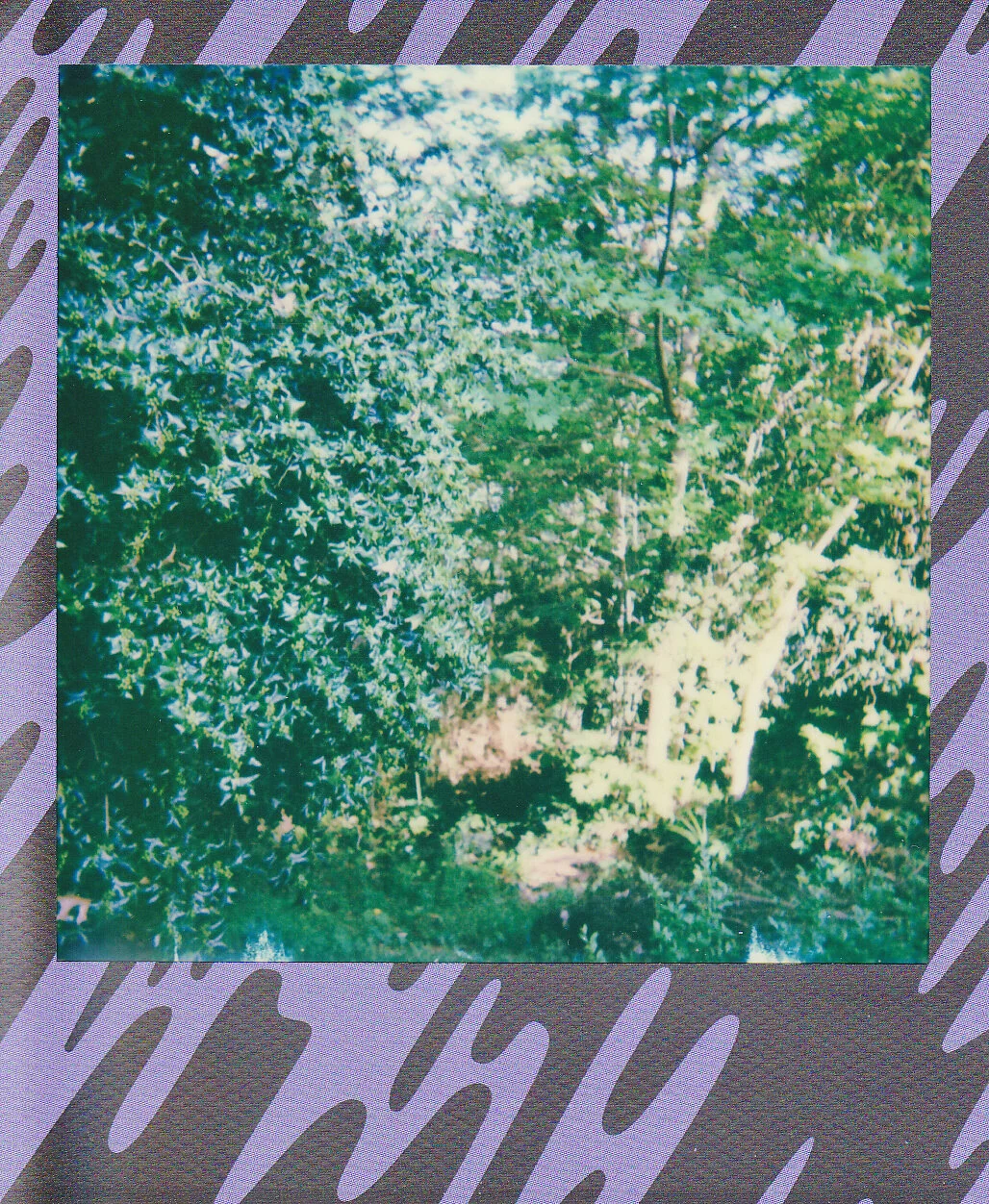 Self-Isolation, Day 21: Stroke of Light