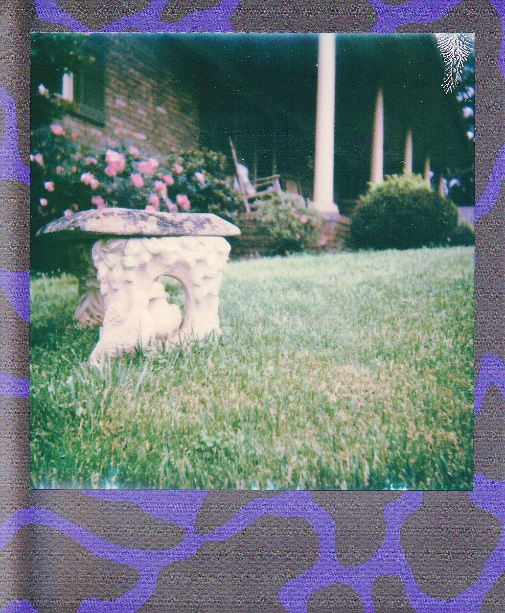 Self-Isolation, Day 24: Solace