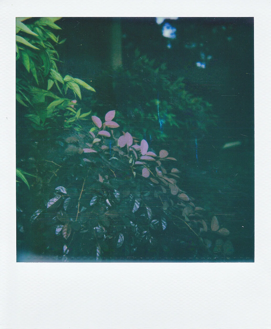 Self-Isolation, Day 29: Cold Evening