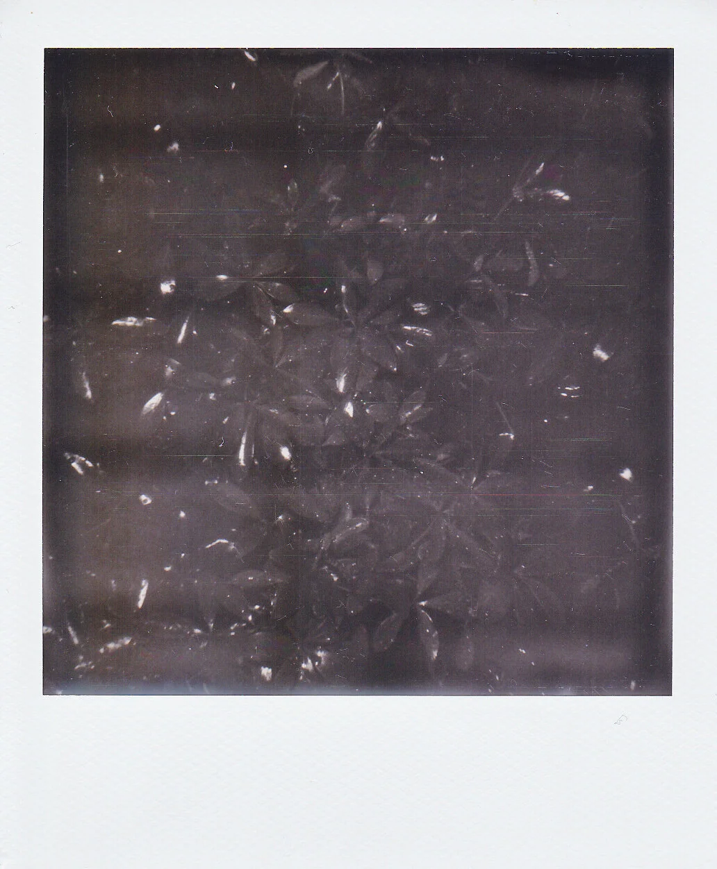 Self-Isolation, Day 35: Dark