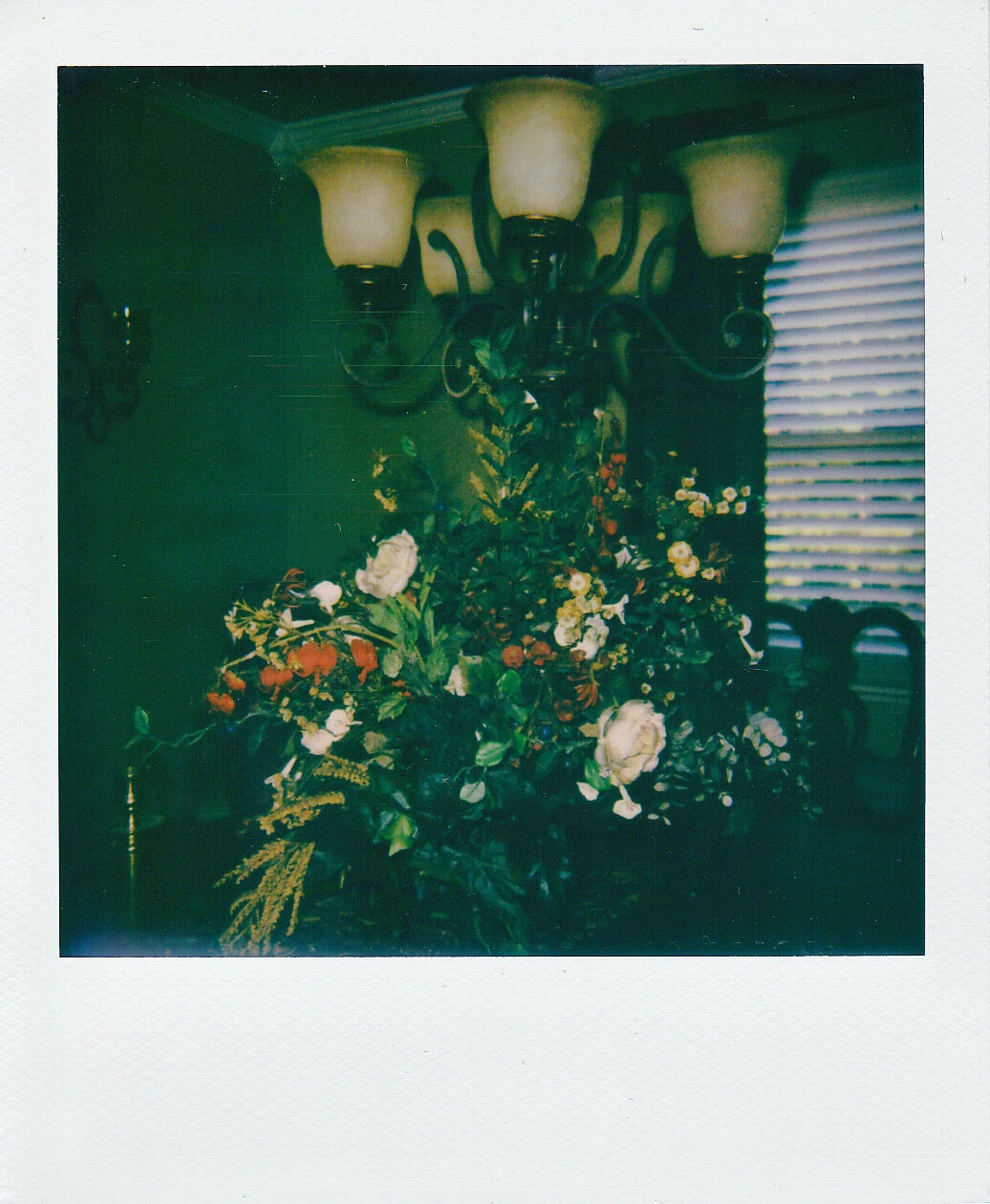 Self-Isolation, Day 40: Fancy