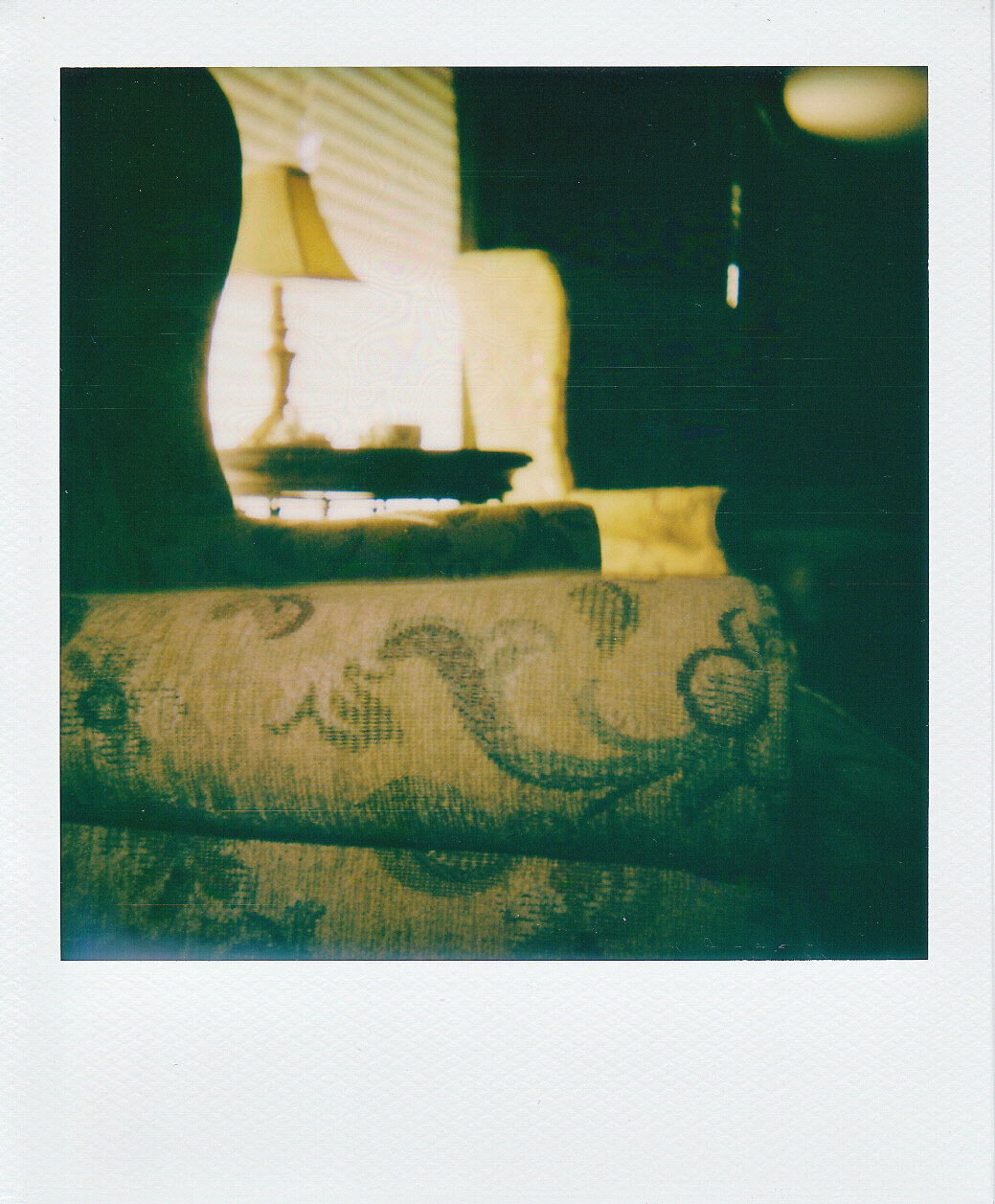 Self-Isolation, Day 42: In the Shadows
