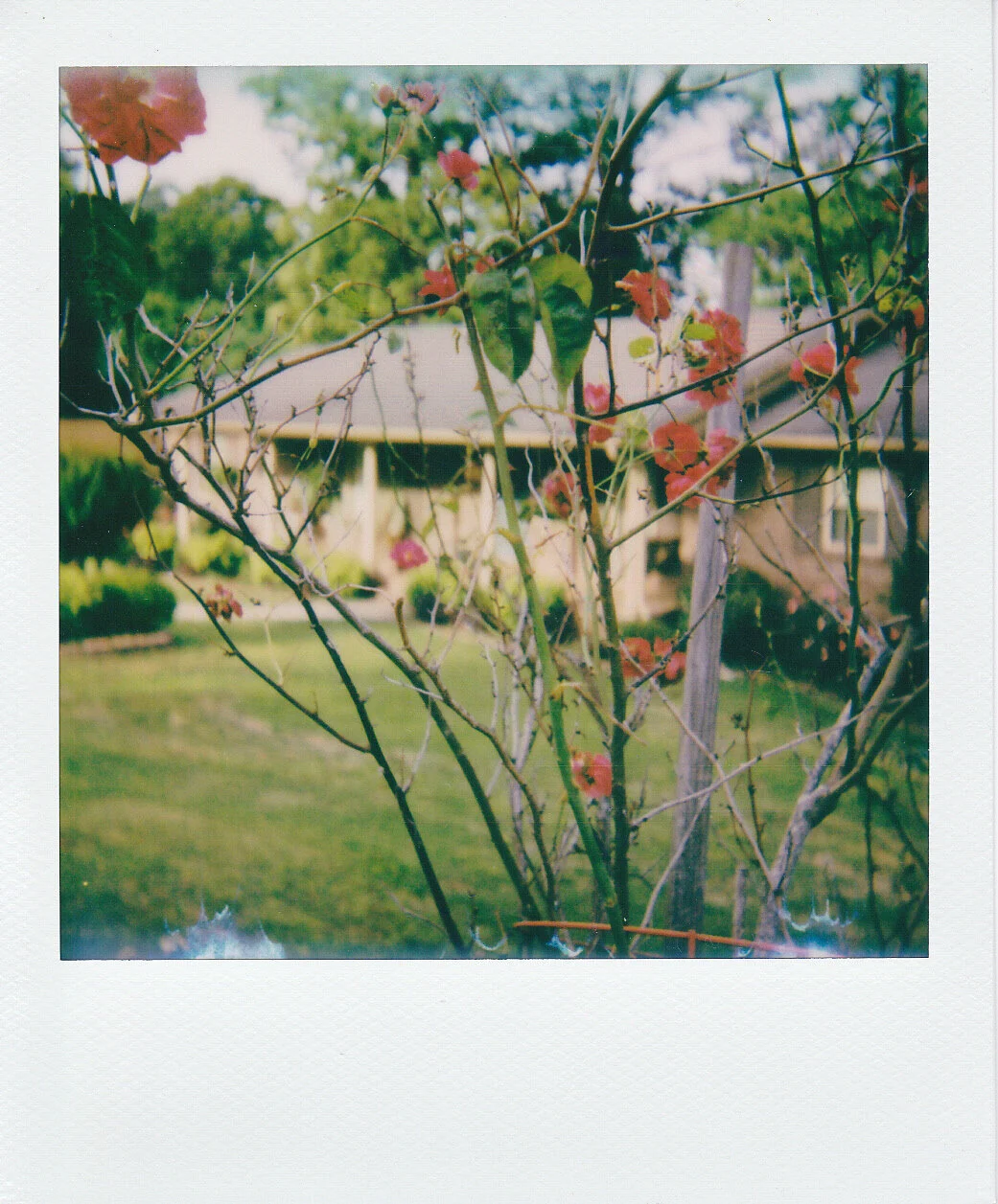 Self-Isolation, Day 44: Anxious