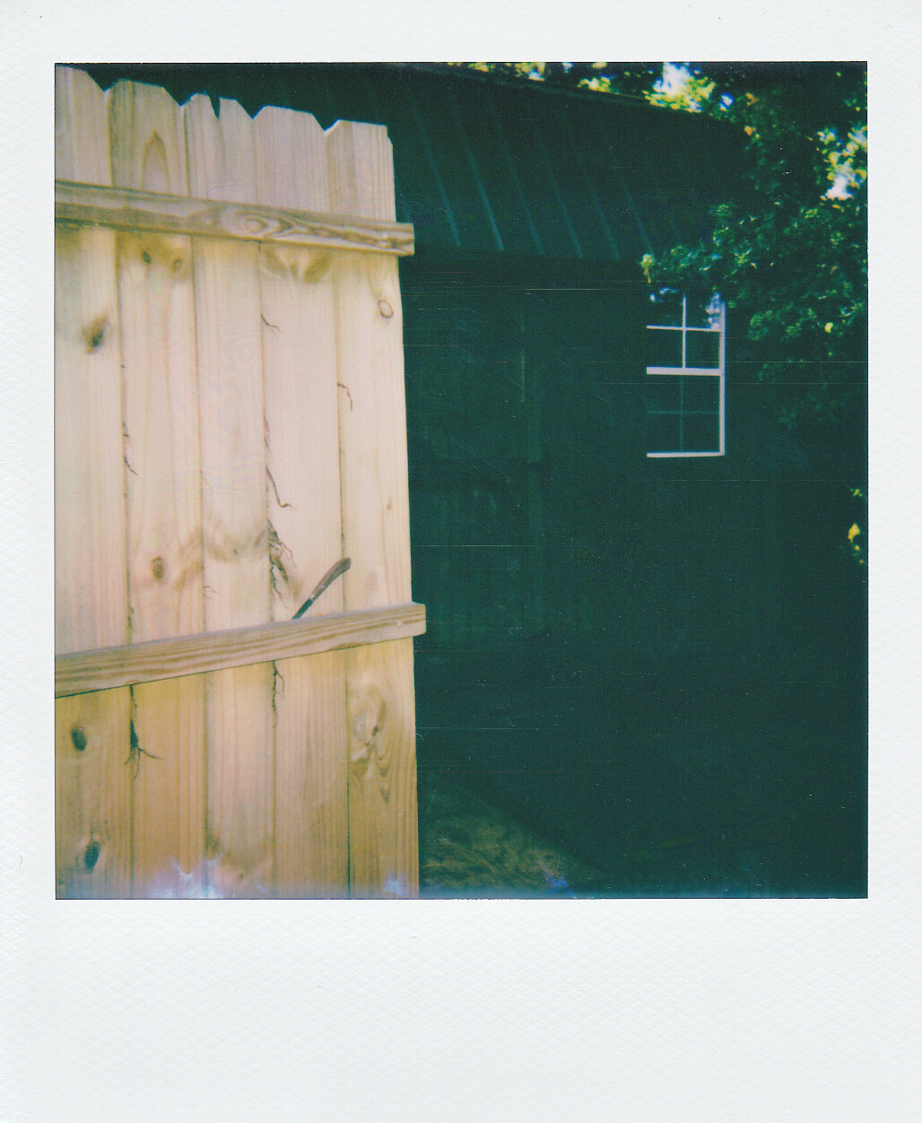 Self-Isolation, Day 46: Oddities