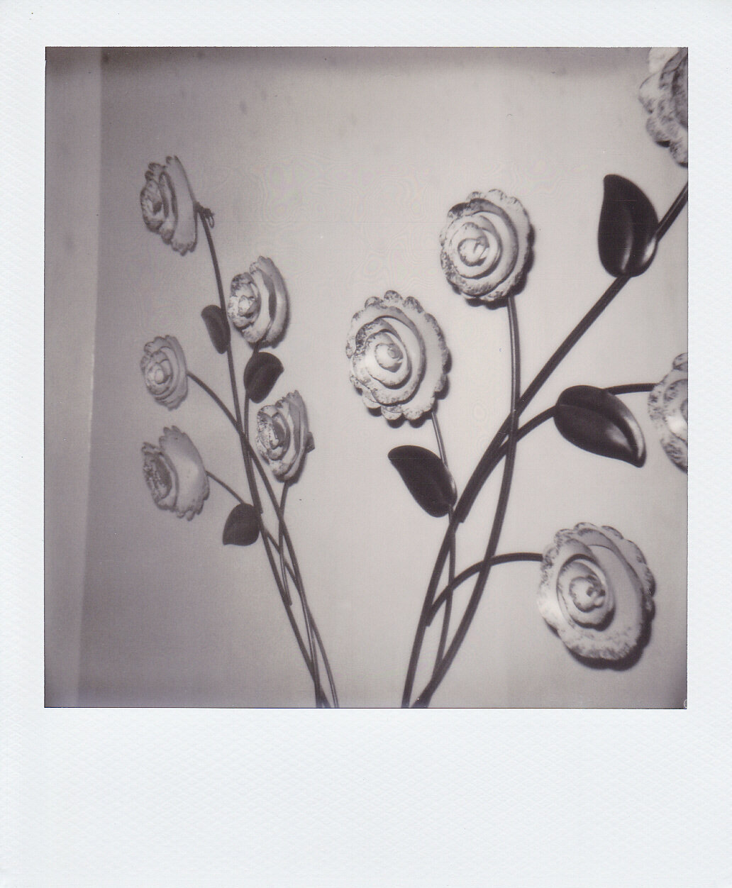 Self-Isolation, Day 49: Metal Roses