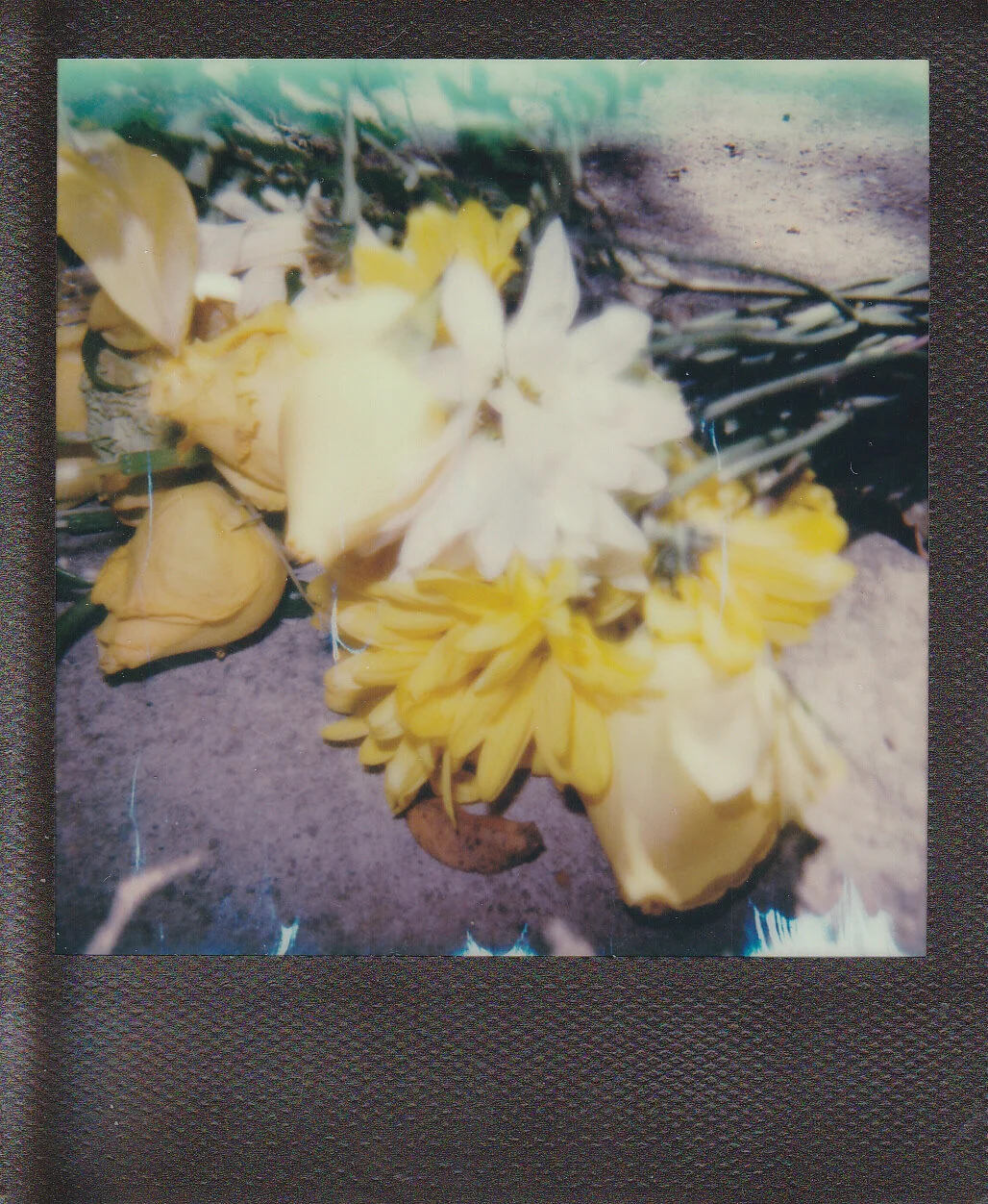 Instant Photography for Beginners, Part I: Introduction
